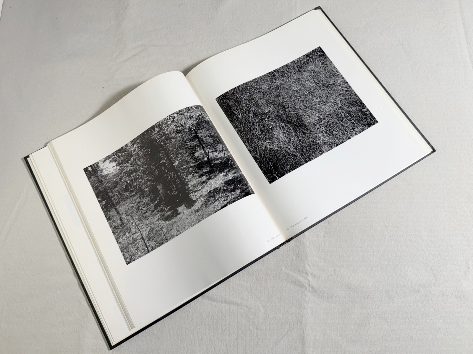 Callahan: Aperture Monograph- Intoduction John Szarkowski, Museum of Modern Art