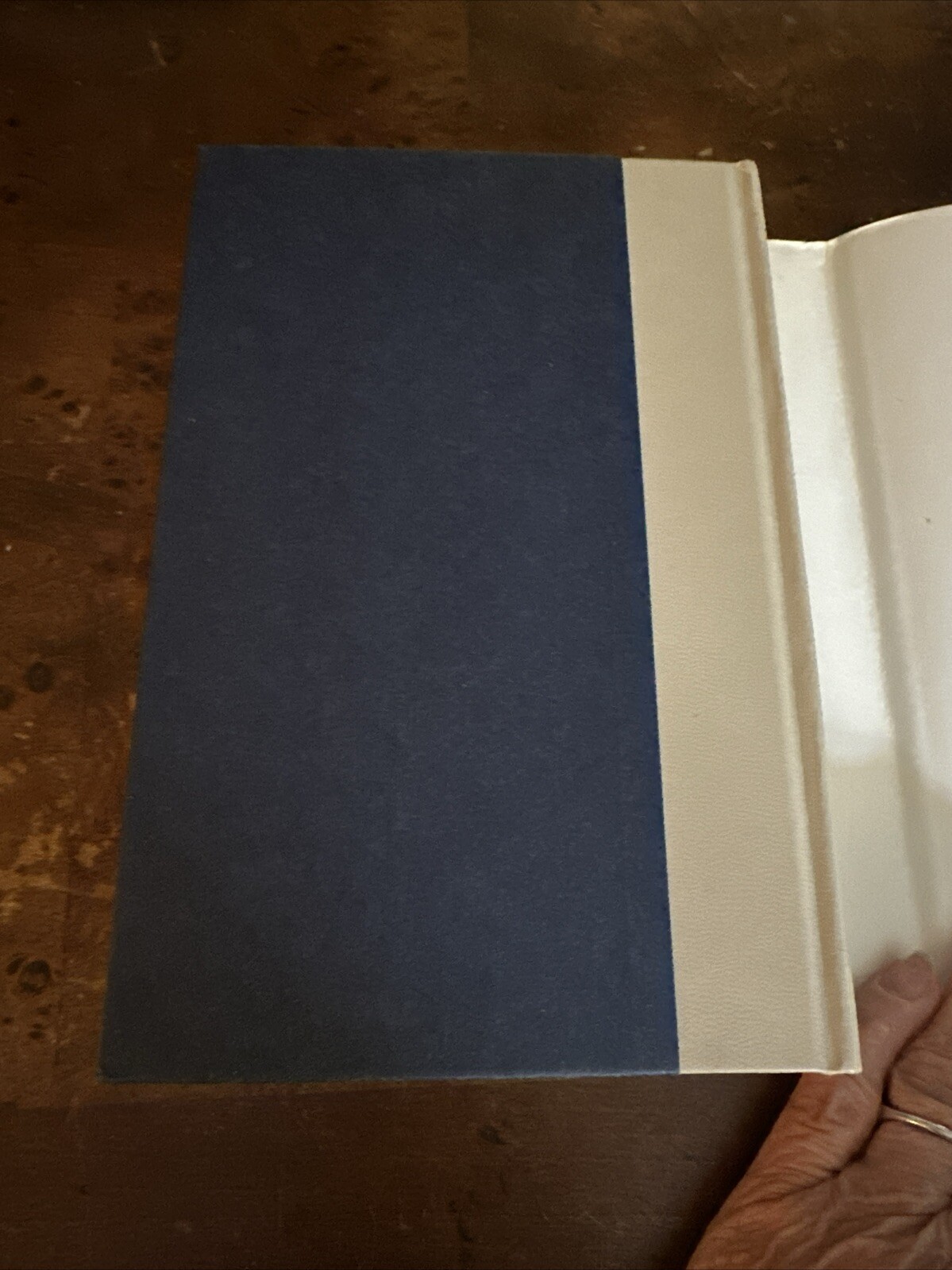 The Valley Of The Horses: Earth’s Children Ser.: by Jean M. Auel 1982 HC *Mint*