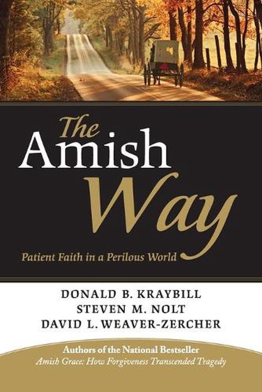 The Amish Way: Patient Faith in a Perilous World by Donald B. Kraybill (English)