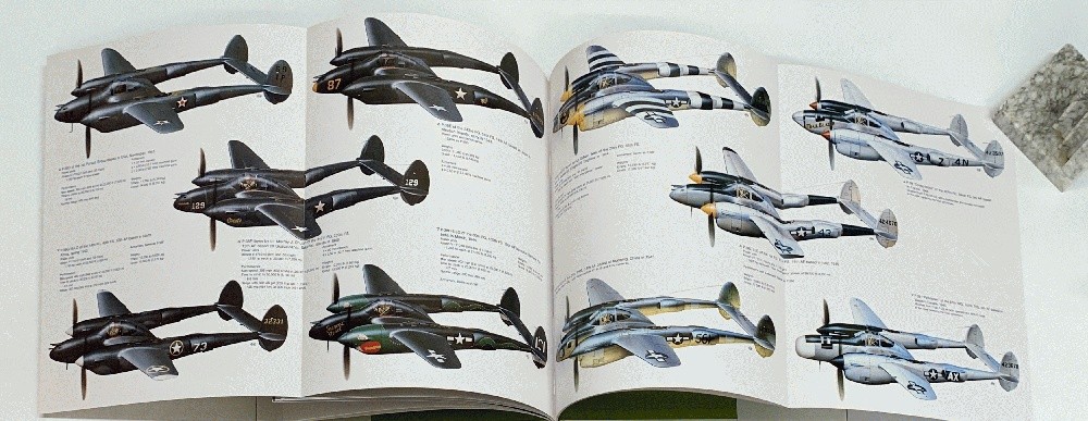 P-38 Lightning [Wing & Anchor Press Series – Large Format Book] Jeffrey L Ethell
