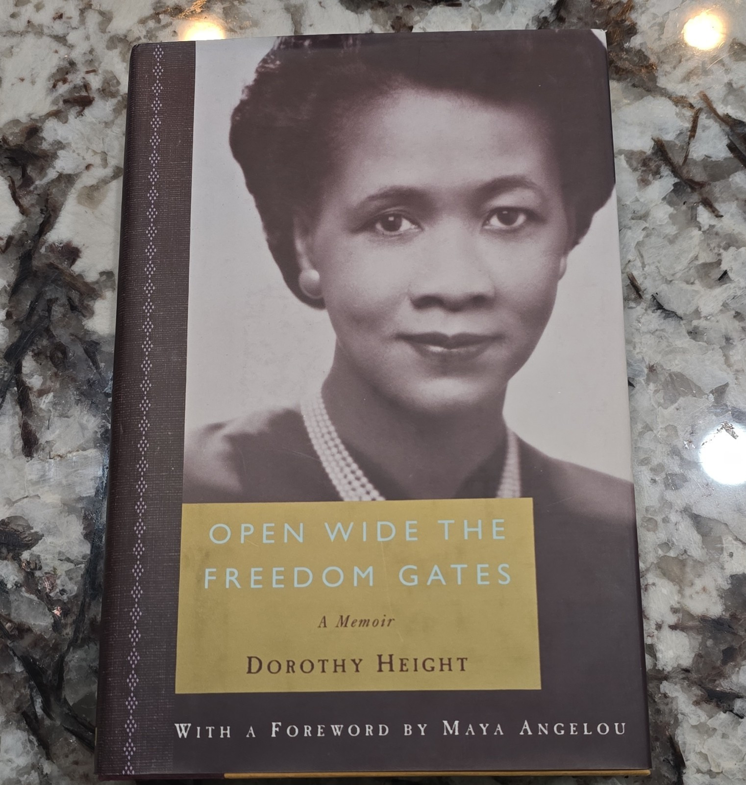 Open Wide the Freedom Gates by Dorothy Height Public Affairs Hardcover Civil Ri…