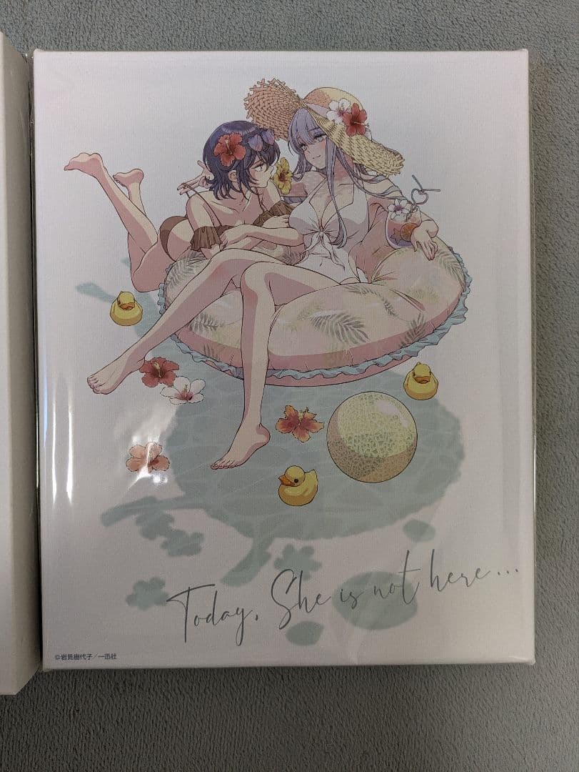 Yuri Hime Canvas Art “Kanojo ga Inai Kara” Japanese Manga Wall Decor New