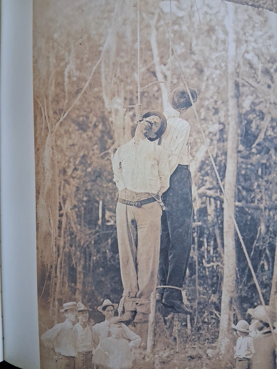 Without Sanctuary: Lynching Photography In America by James Allen, (2003). ÷