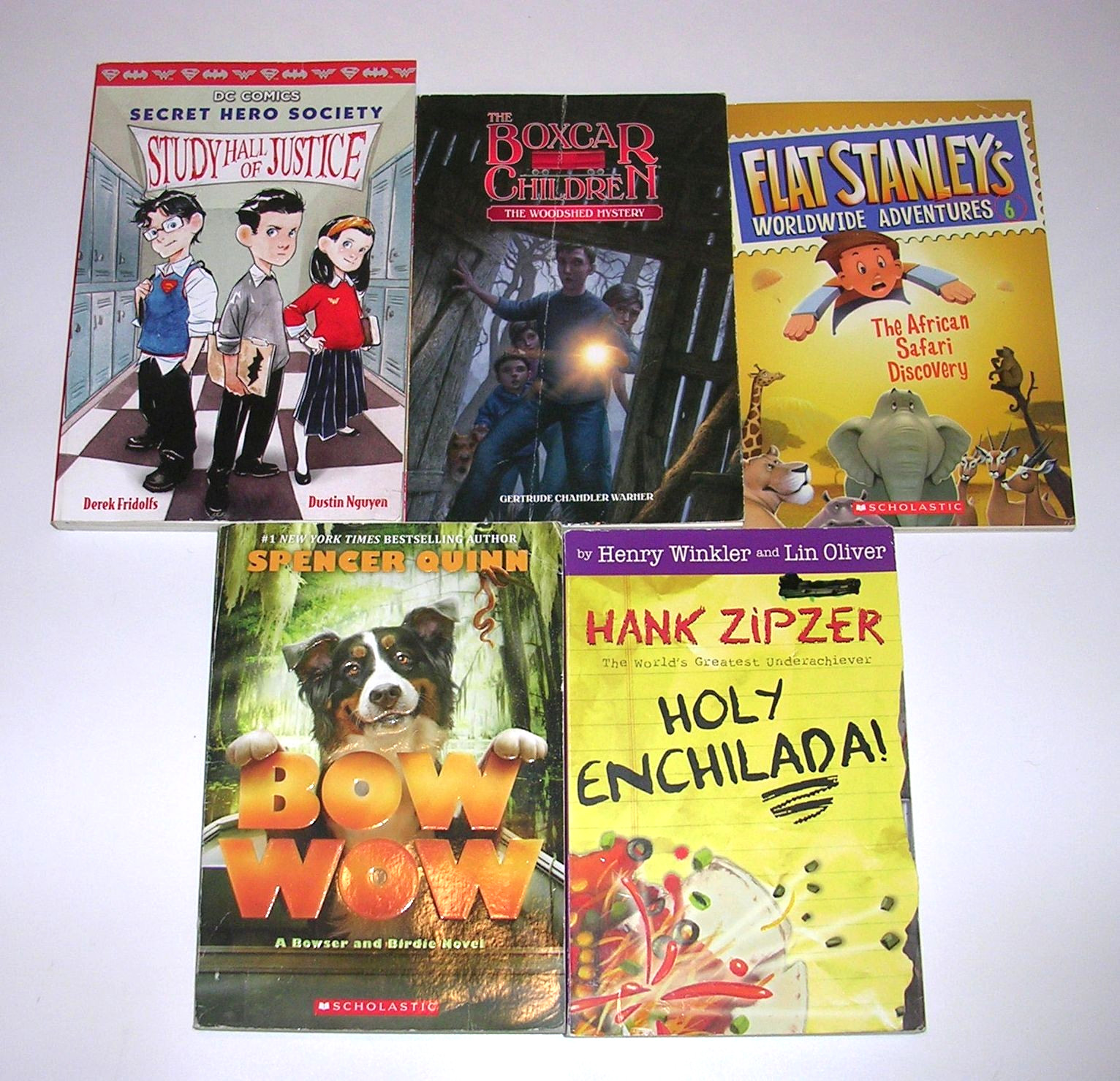 Lot 25 BOYS Reading Level 4 – 5 ACCELERATED READERS 4th 5th + Grade AR Chapter