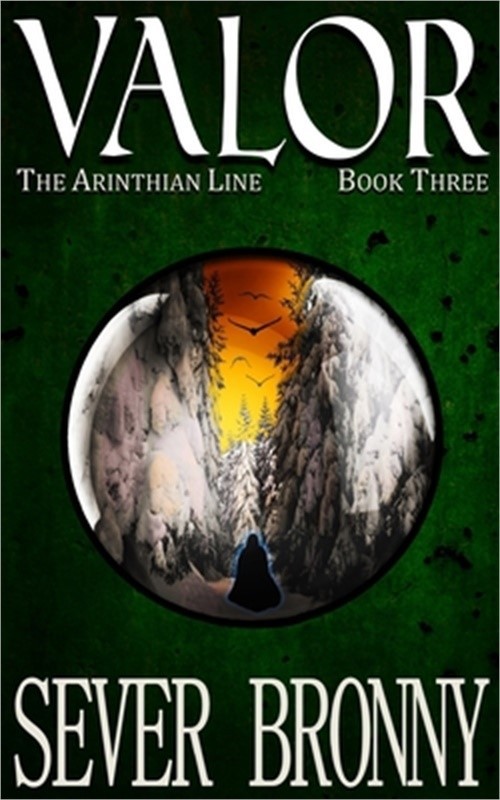 Valor (Paperback or Softback)