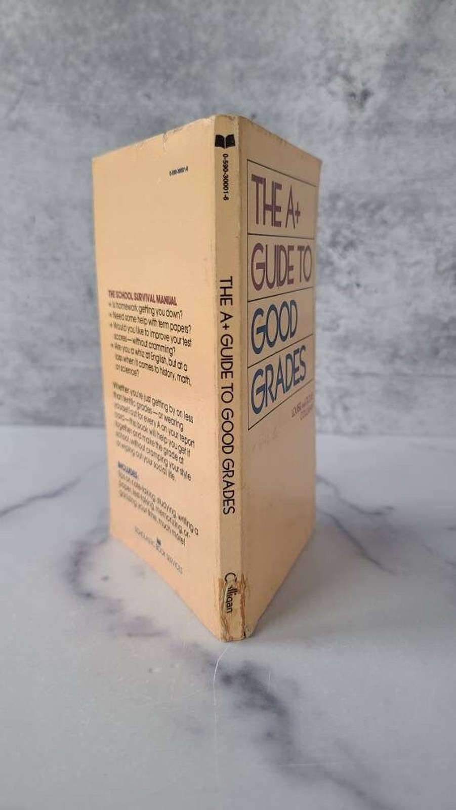 The A+ Guide to Good Grades