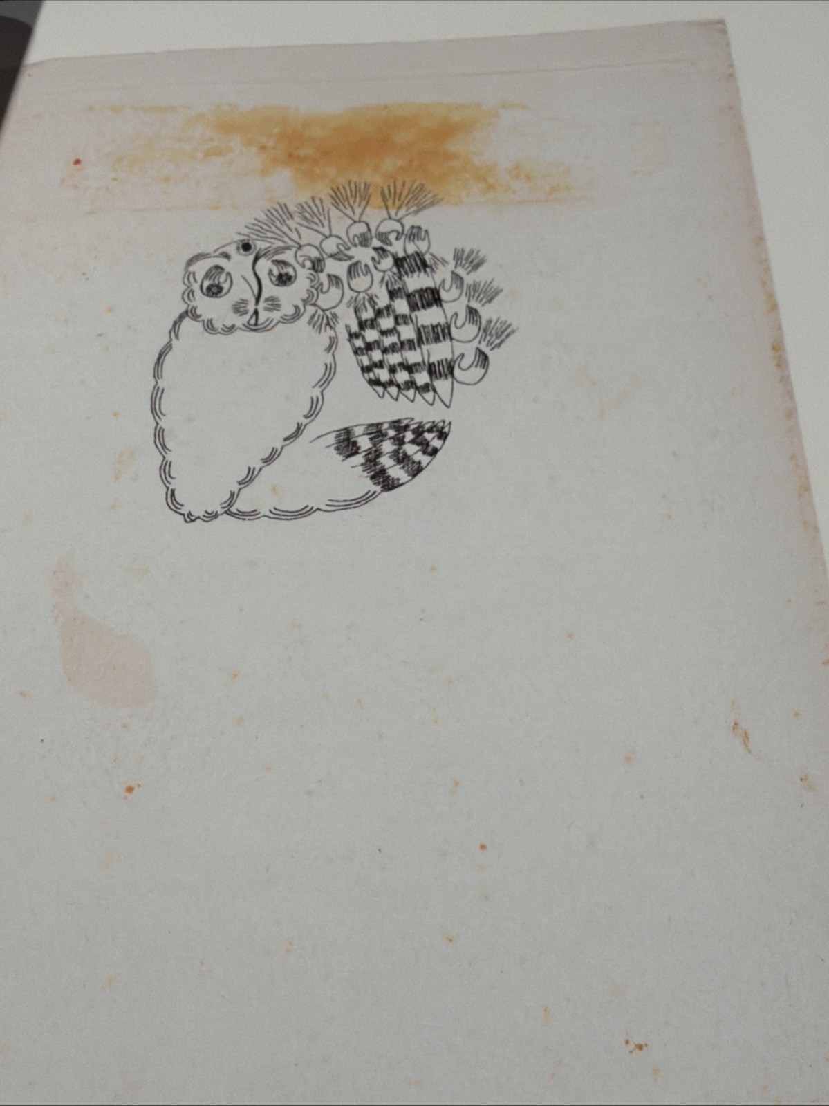 devendra banhart Prestel Verlag Munich Art Book HC 2015