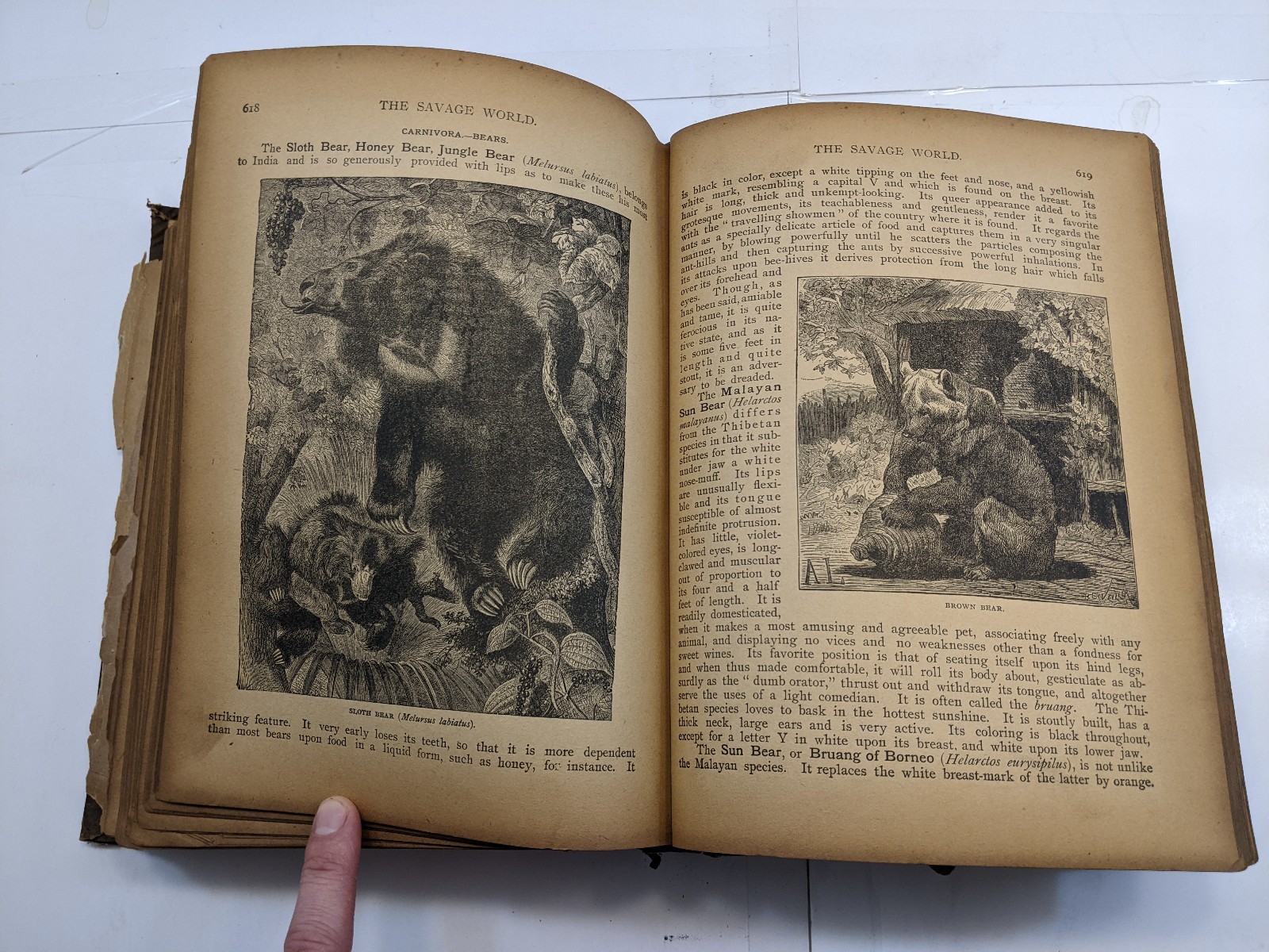 The Savage World A Complete Natural History J.W. Buel (1891, HC) 1st Eds Book