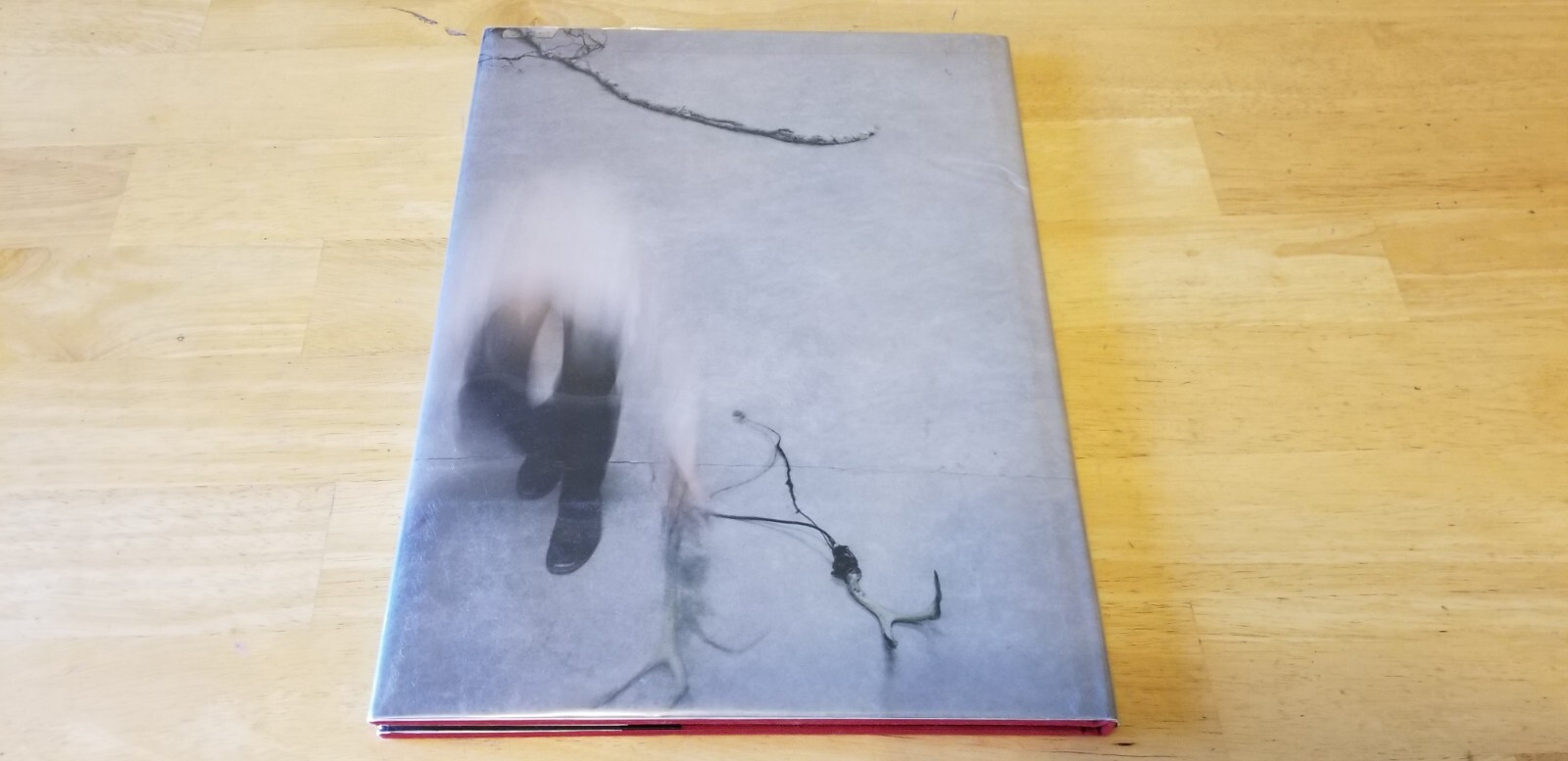 Robert & Shana ParkeHarrison COUNTERPOINT Hardback Twin Palms Publishers 2008