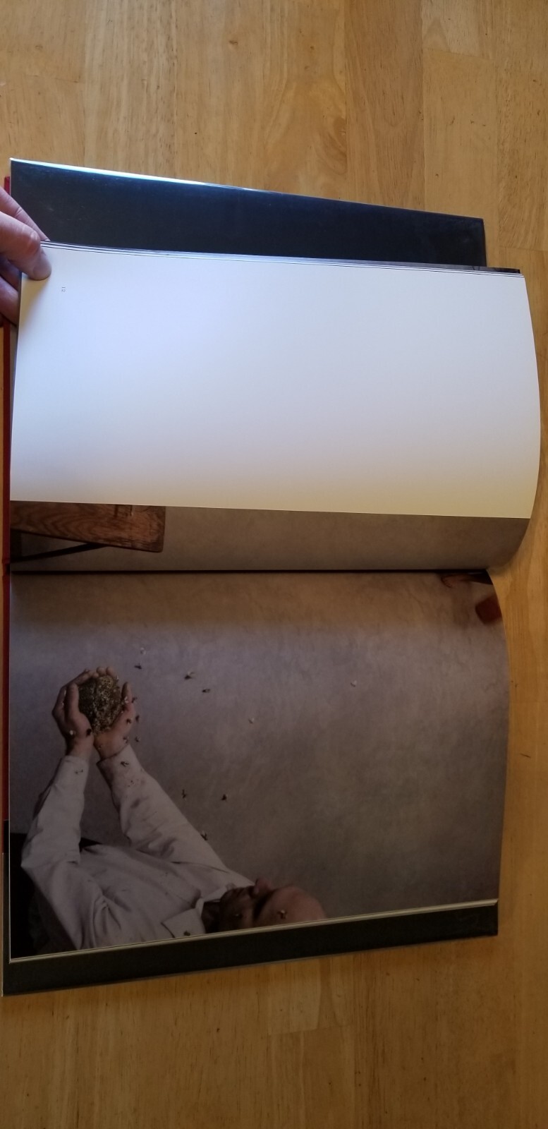 Robert & Shana ParkeHarrison COUNTERPOINT Hardback Twin Palms Publishers 2008