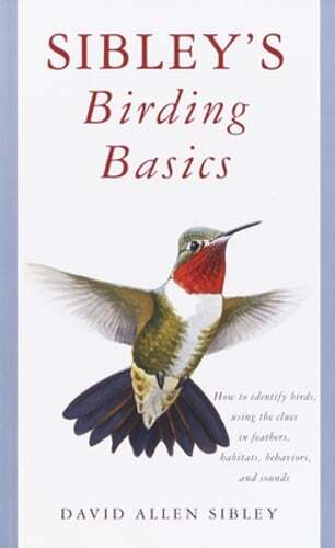Sibley’s Birding Basics by David Allen Sibley: Used