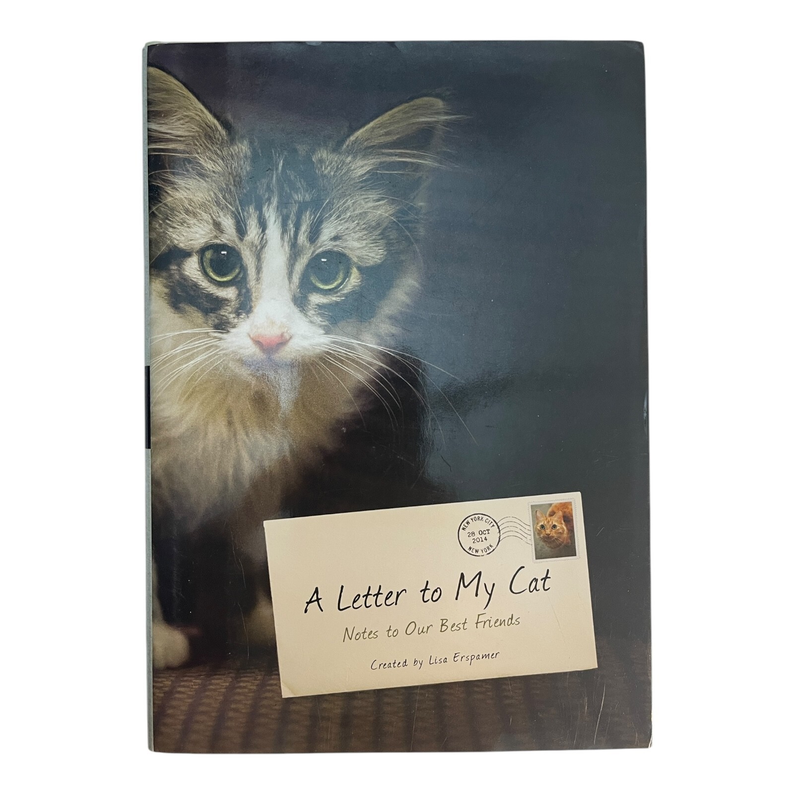 A Letter To My Cat By Lisa Erspamer 2014 Crown Archetype