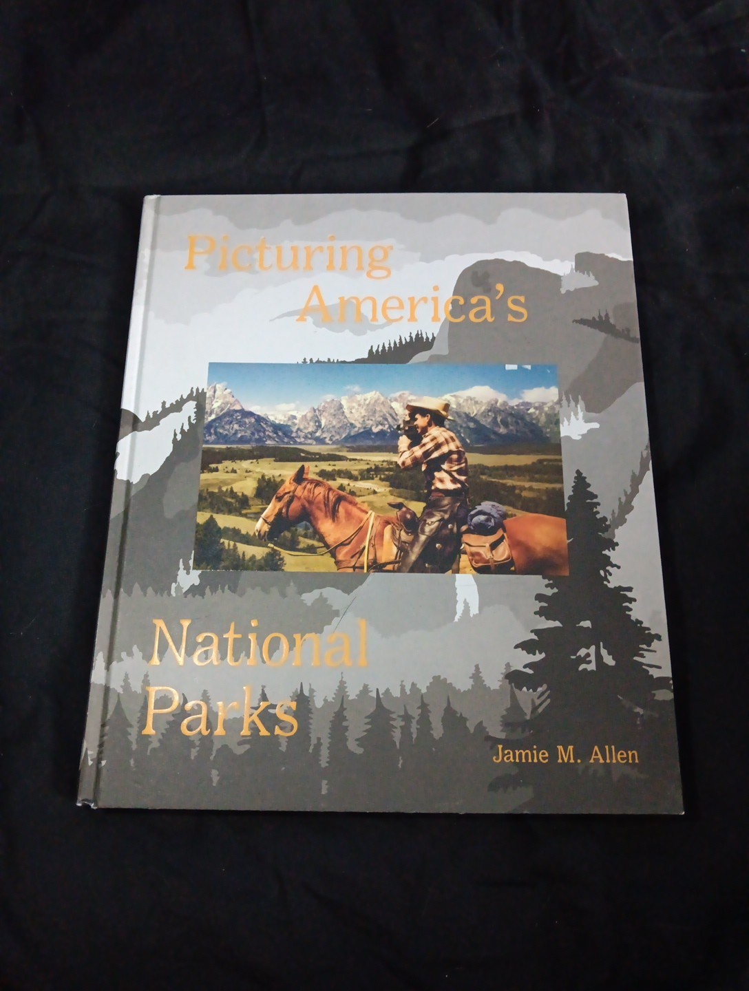 Picturing America’s National Parks by Jamie M. Allen (2016, Hardcover)
