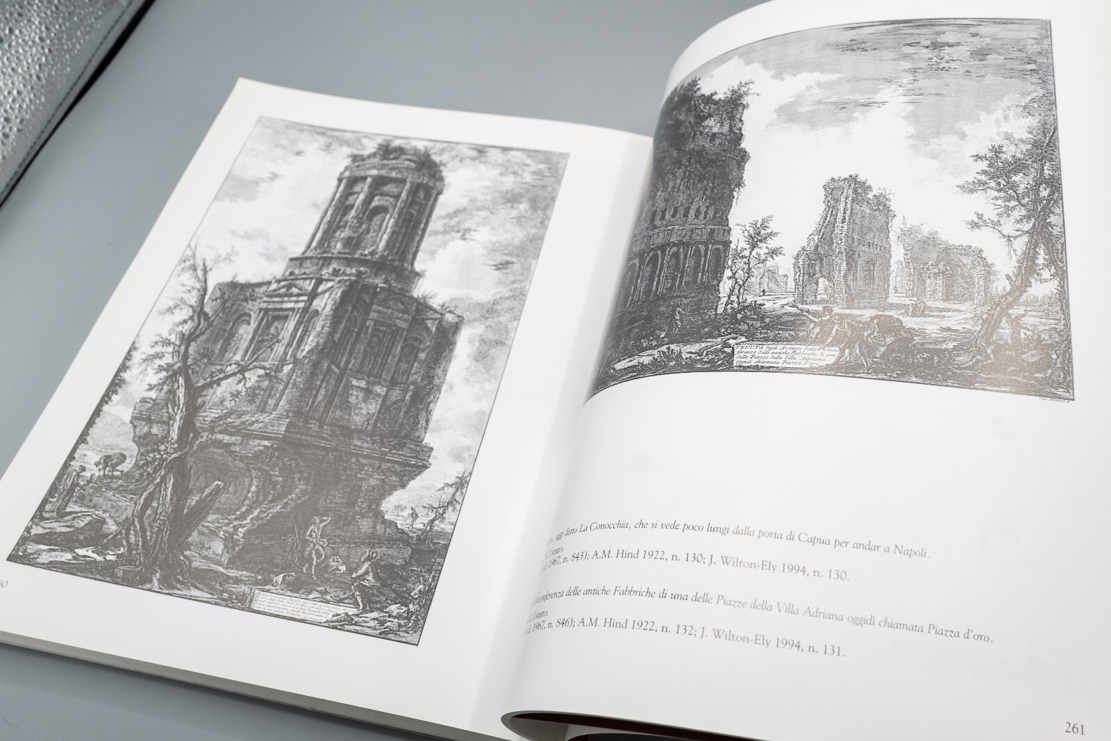 La Roma di Piranesi. La città del Settecento nelle grandi vedute by M. Gori