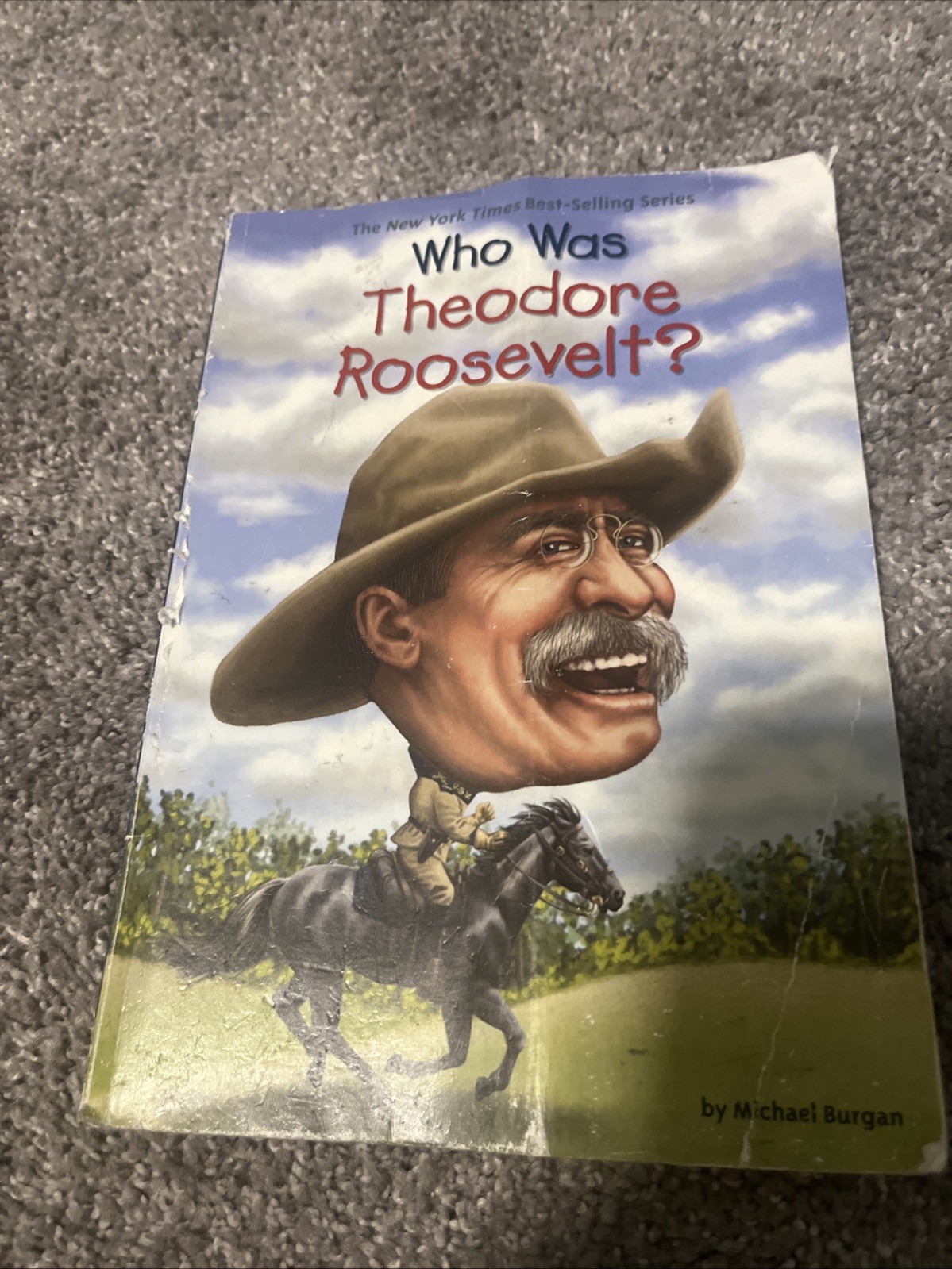 Who Was Theodore Roosevelt? by Michael Burgan and Who HQ (2014, Digest…