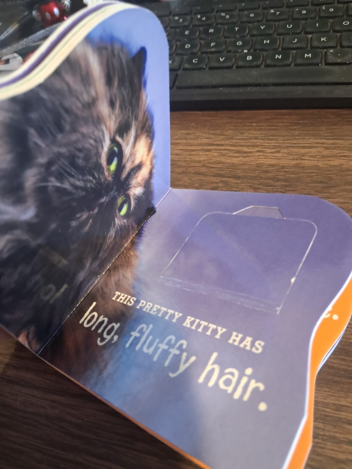 2002 PRETTY KITTY BOOK by K.R. KNIGHT, DALMATIAN PRESS, 20 PAGES
