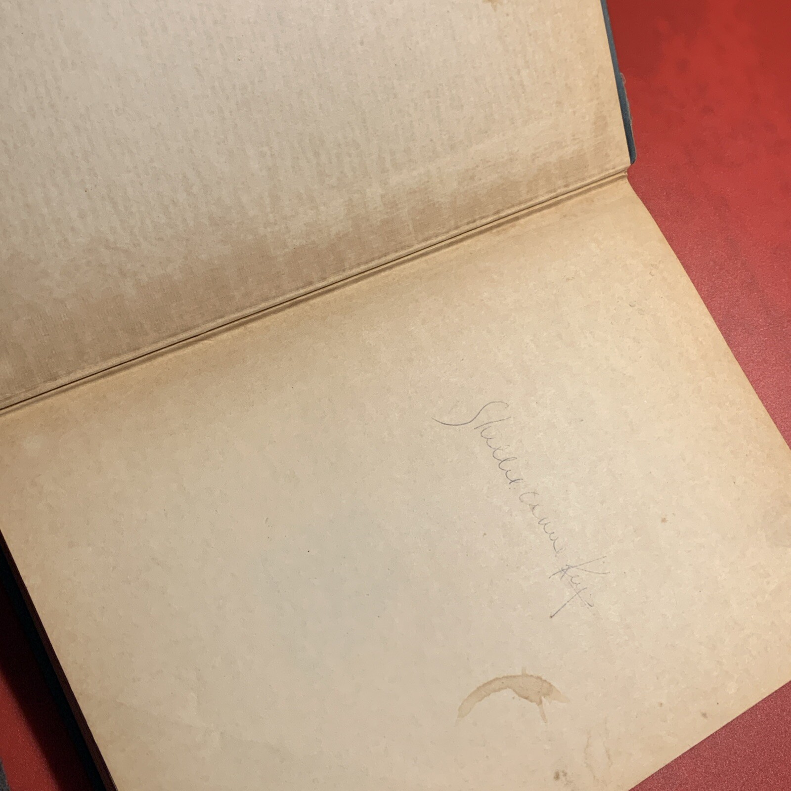 Abraham Lincoln: A Biography in Pictures