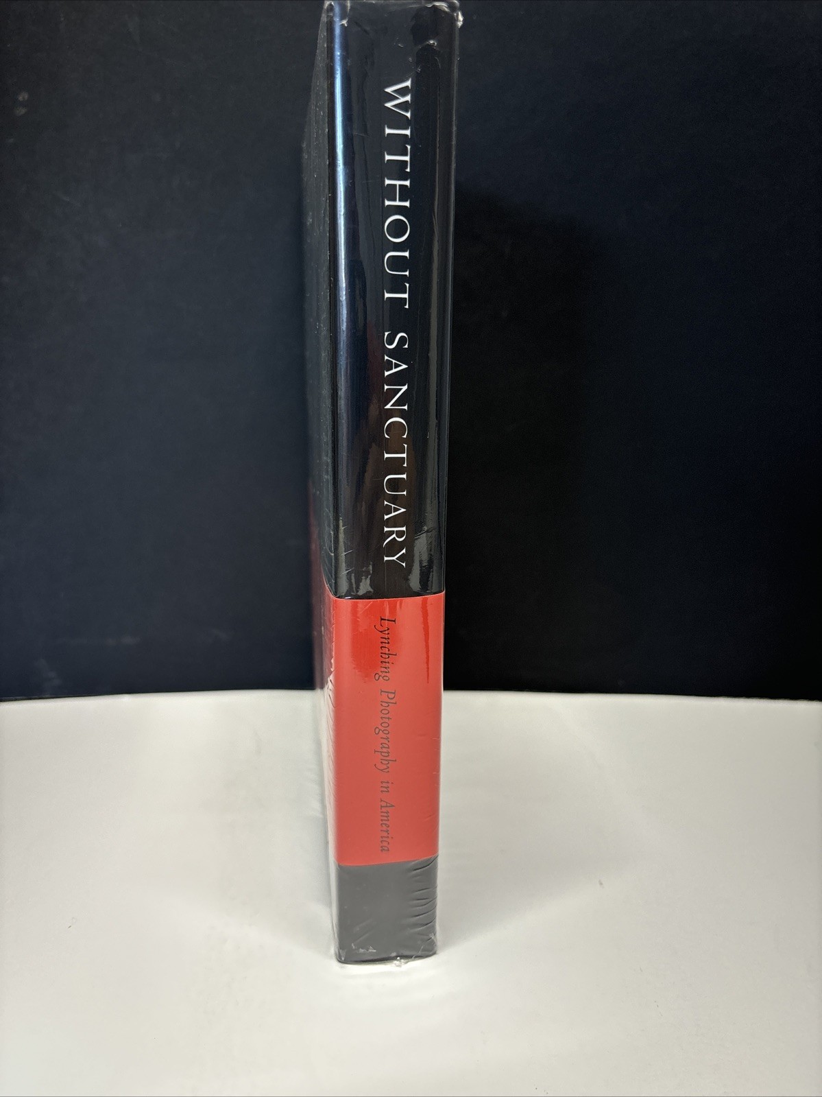 Without Sanctuary : Lynching Photography in America by James Allen (1999,…