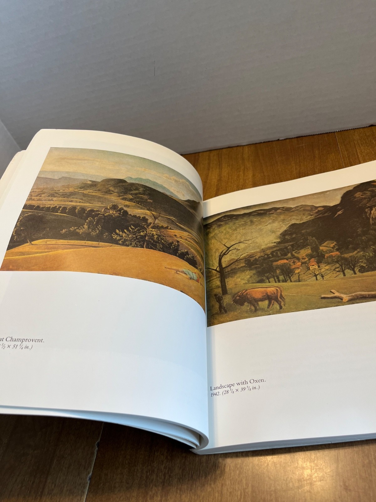 Balthus Paperback Jeanleymarie 1982