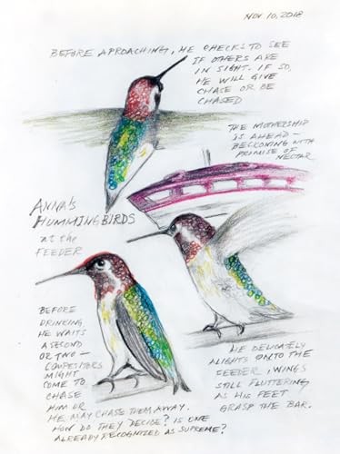 The Backyard Bird Chronicles by Amy Tan Nature and Birding Exploration
