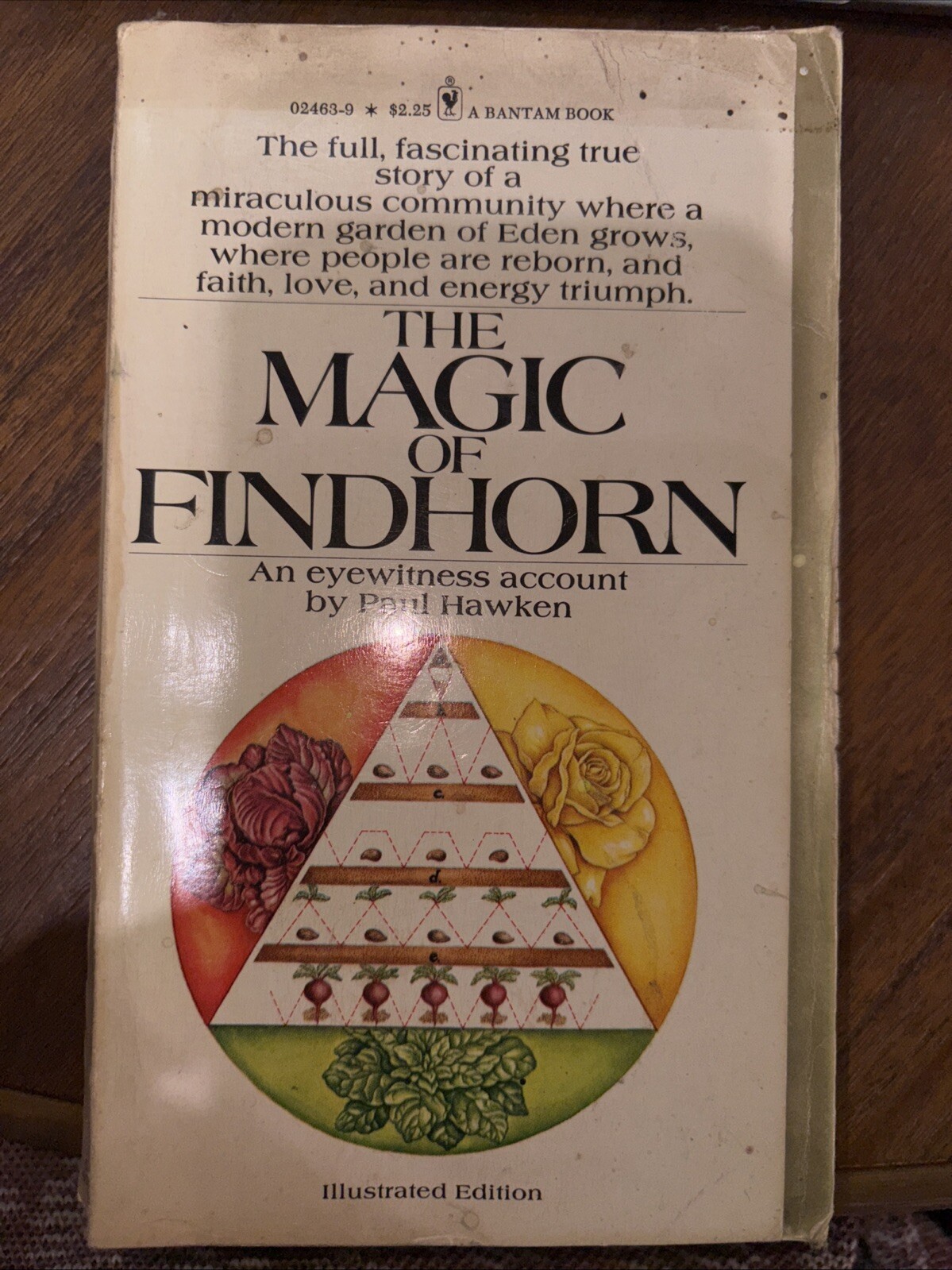 The magic of Findhorn A Bantam Book Paul Hawken PB 1976