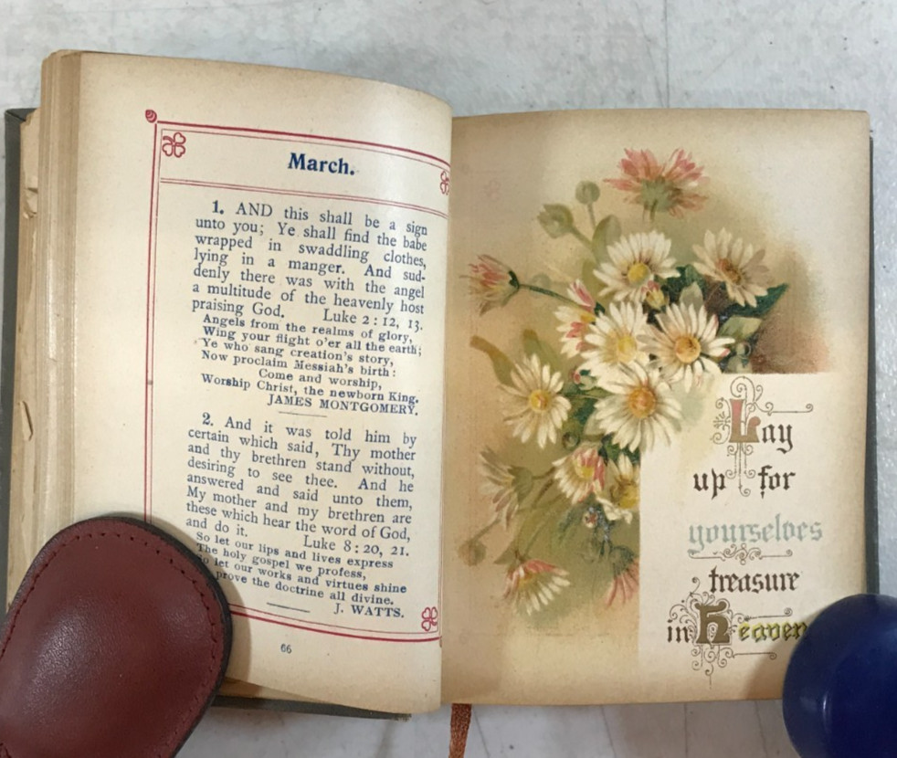 Forget me not; Scripture Texts, 1911, E-92