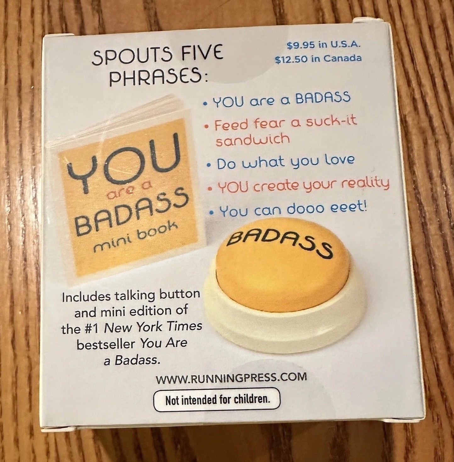 You Are a Badass • Talking Button w/ Book • Brand New • In-Your-Face Inspiration
