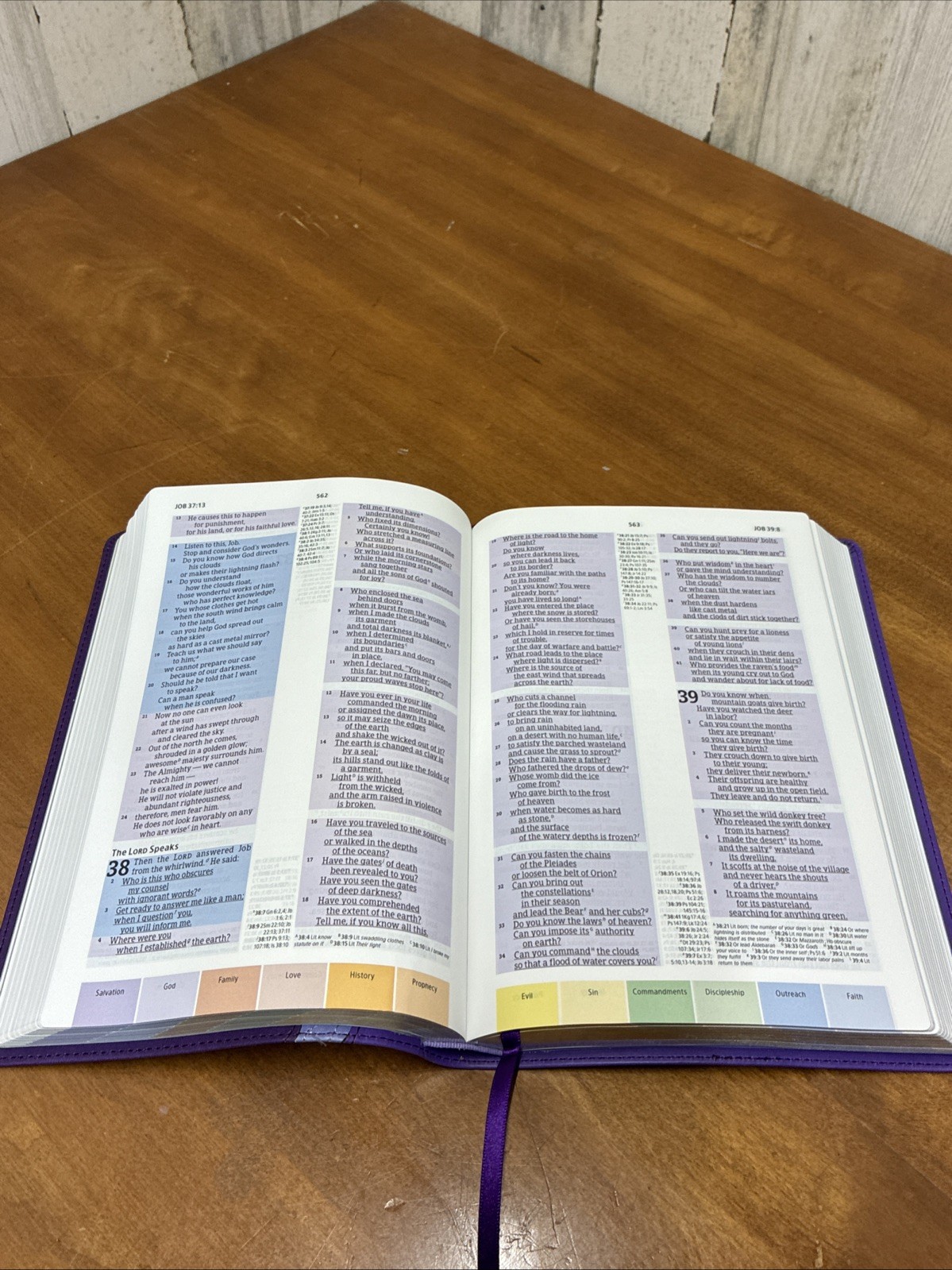 CSB Rainbow Study Bible, Purple Leather Touch, Holman Christian Standard Bible