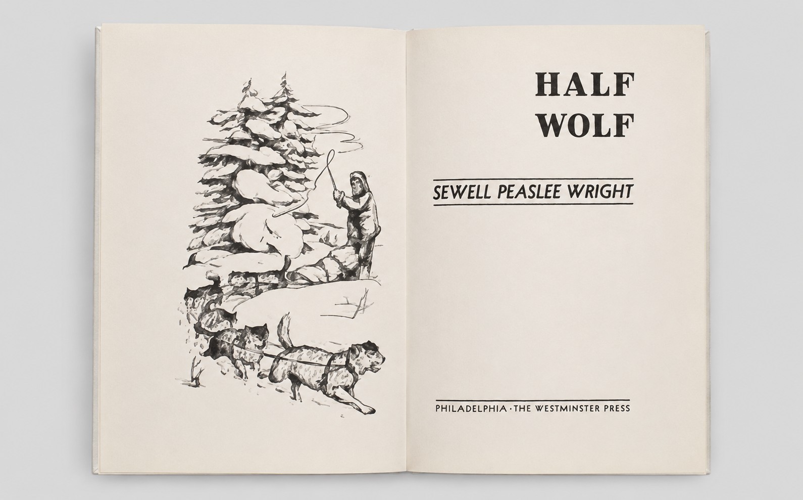 HALF WOLF 1946 Sewell Peaslee Wright HC w/DJ Rare Juvenile Wolf Adventure