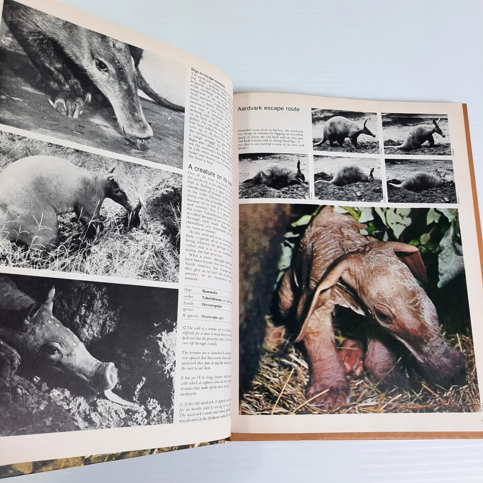 Funk & Wagnalls Wildlife Encyclopedia Volumes 1, 2, 3, 8 Lot Dr. Maurice Burton