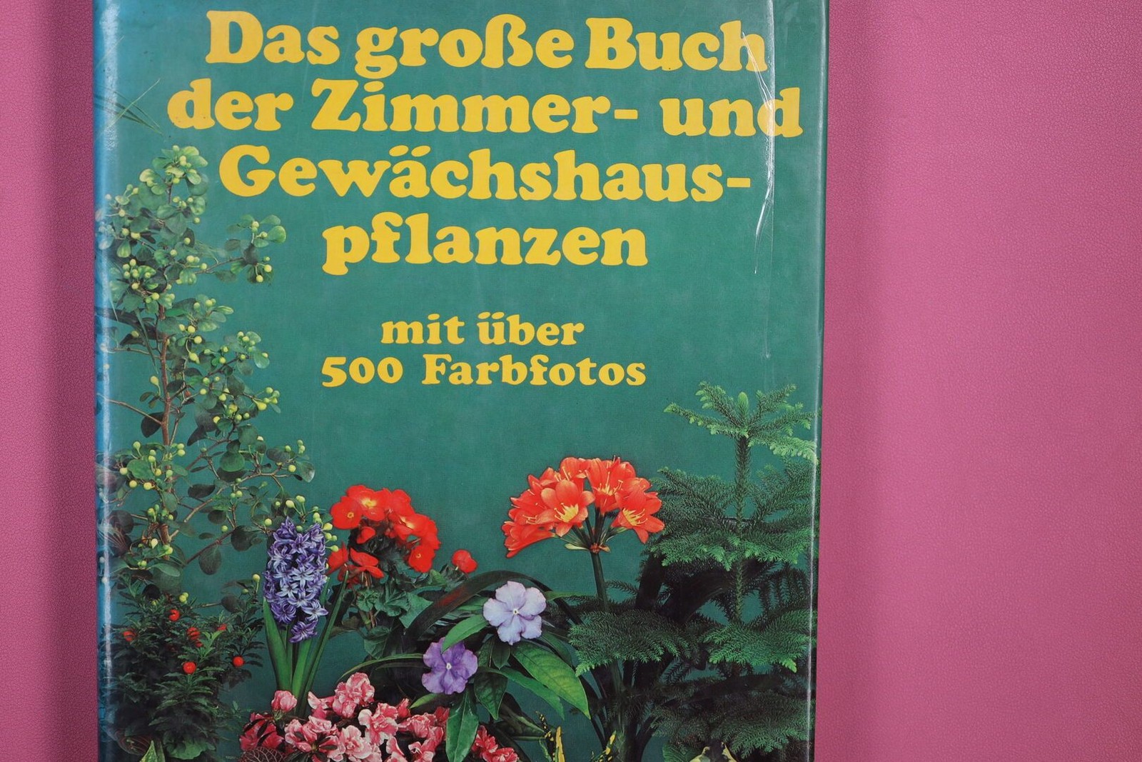 210567 Roy Hay DAS GROSSE BUCH DER ZIMMER- UND GEWÄCHSHAUSPFLANZEN HC