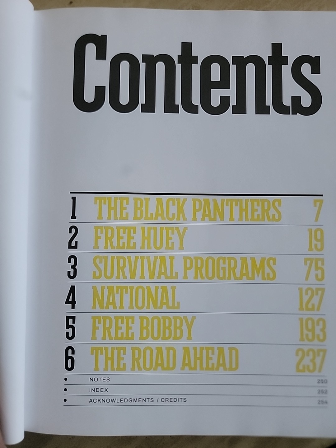 Power to the People.The World of the Black Panthers.