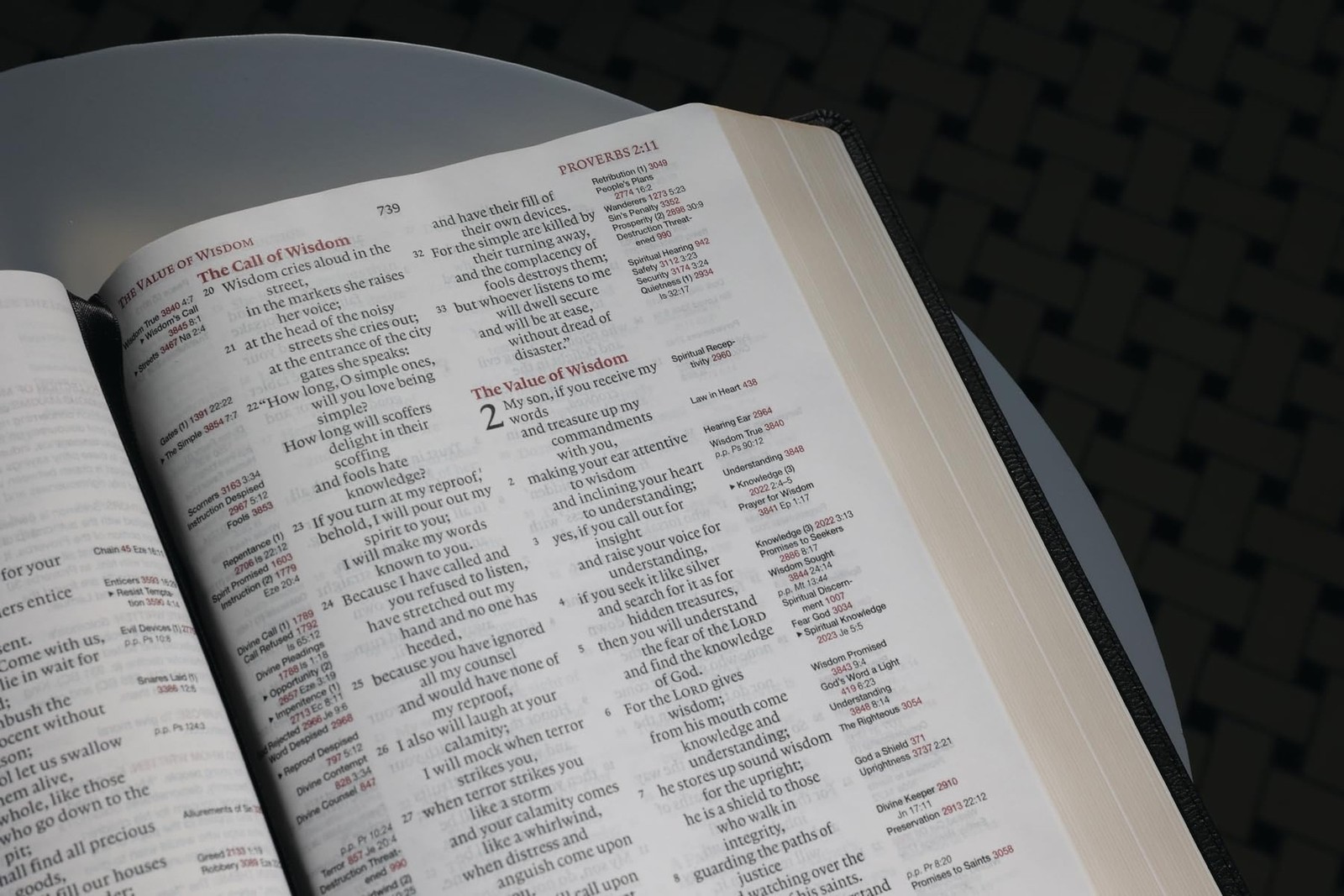 ESV, Thompson Chain-Reference Bible, Large Print, Leathersoft, Black, Red Let…
