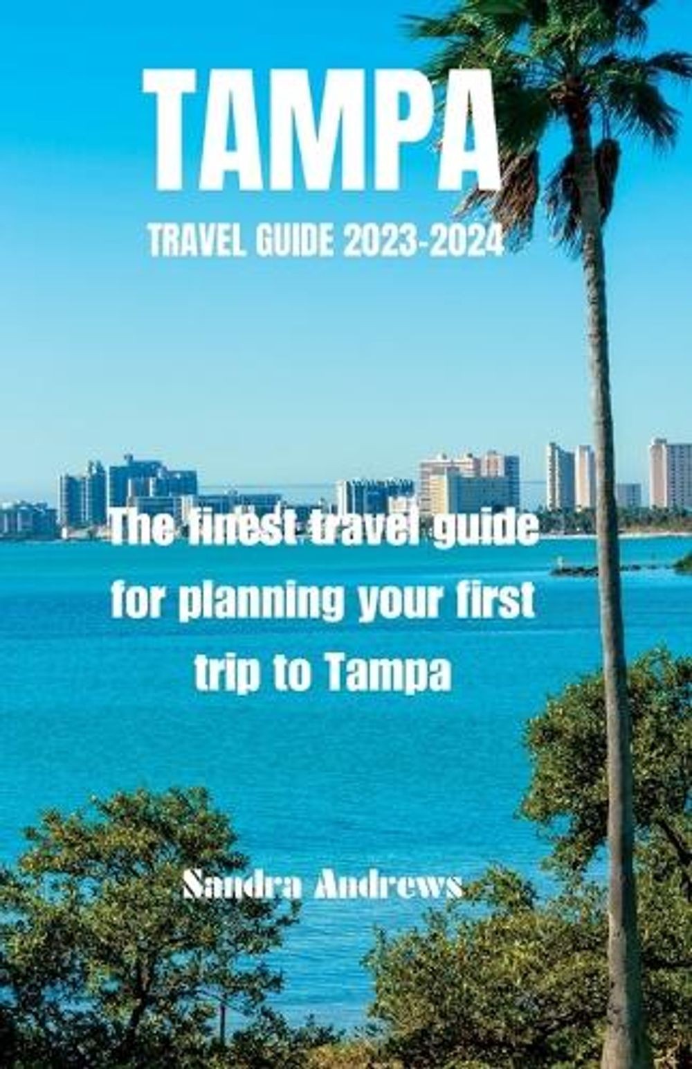 TAMPA Travel guide 2023-2024: The finest travel guide for planning your first tr