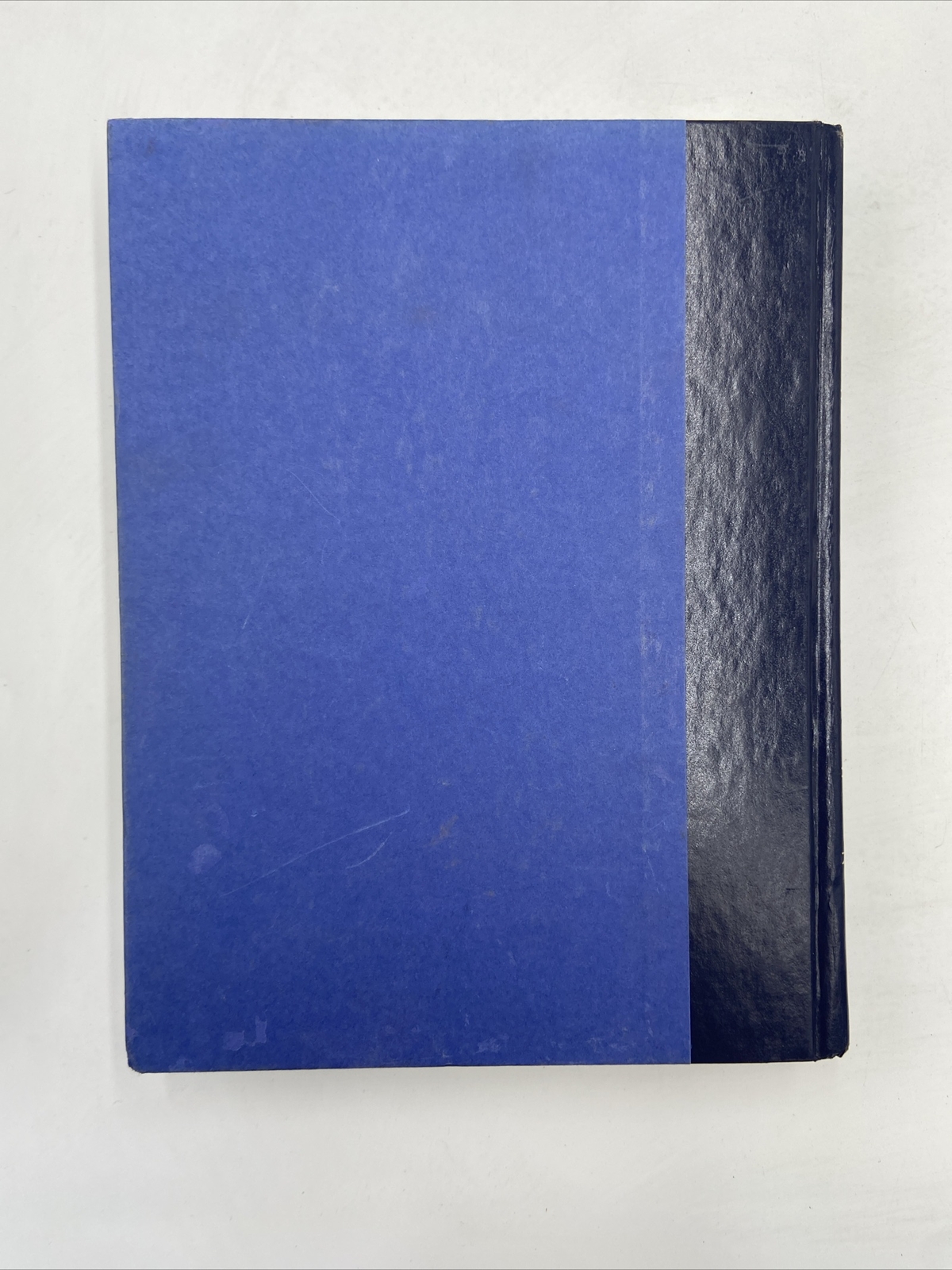 BETWEEN THE RAINDROPS The National Library of Poetry Nicole Walstrum 1995 HC
