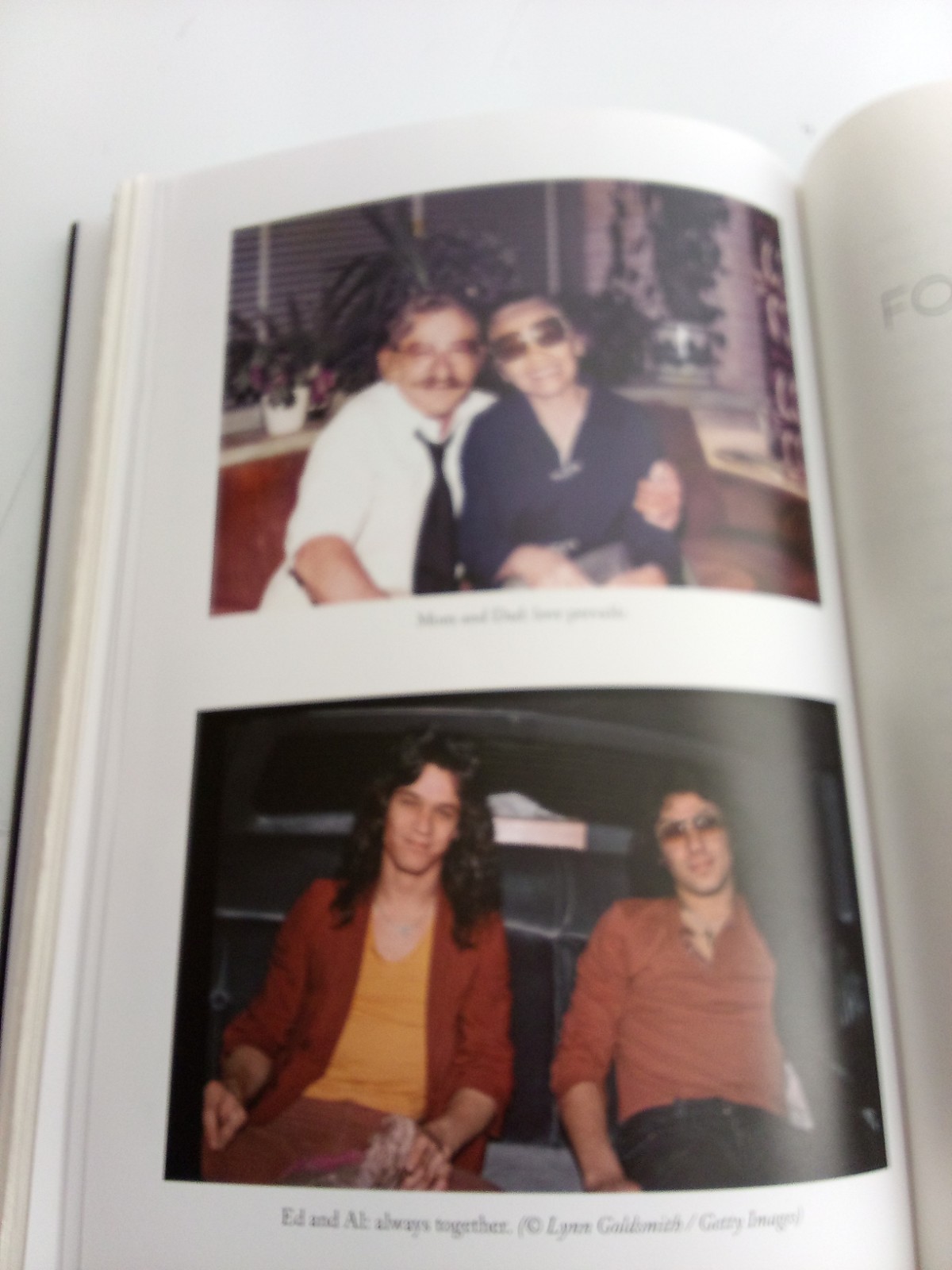 Brothers By Alex Van Halen