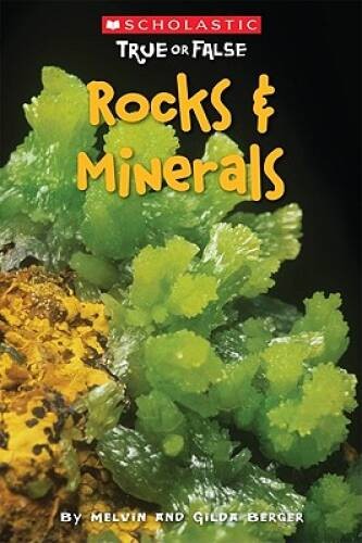 Scholastic True or False: Rocks Minerals – Paperback – VERY GOOD