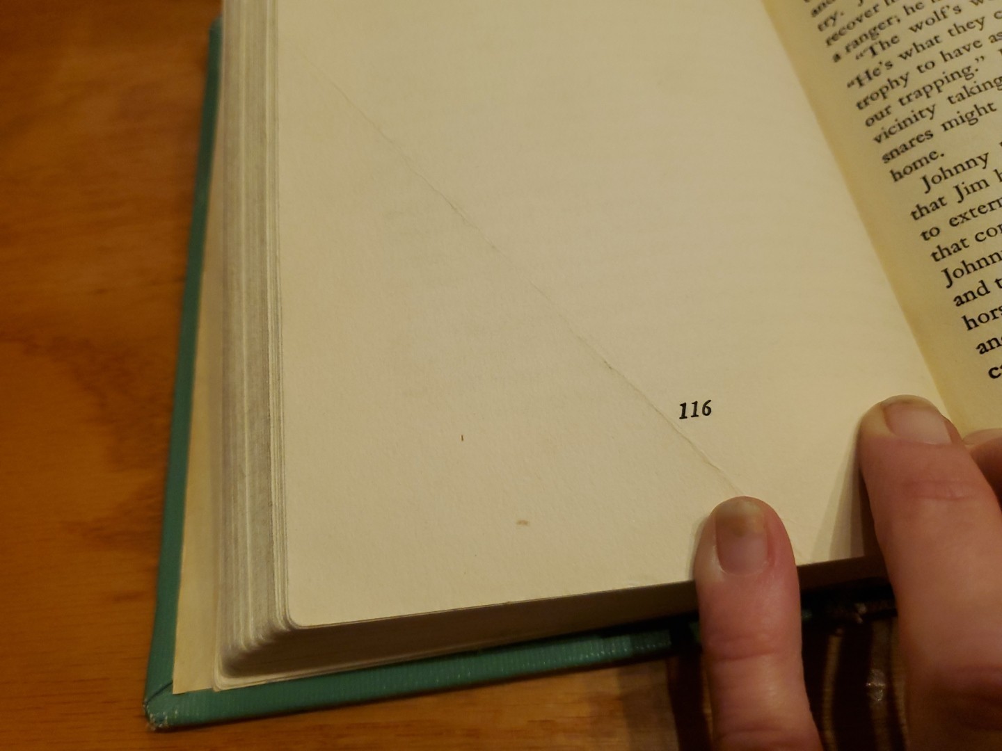 The Wolf King by Joseph Wharton Lippincott, illus. by Paul Bransom 1949 HC
