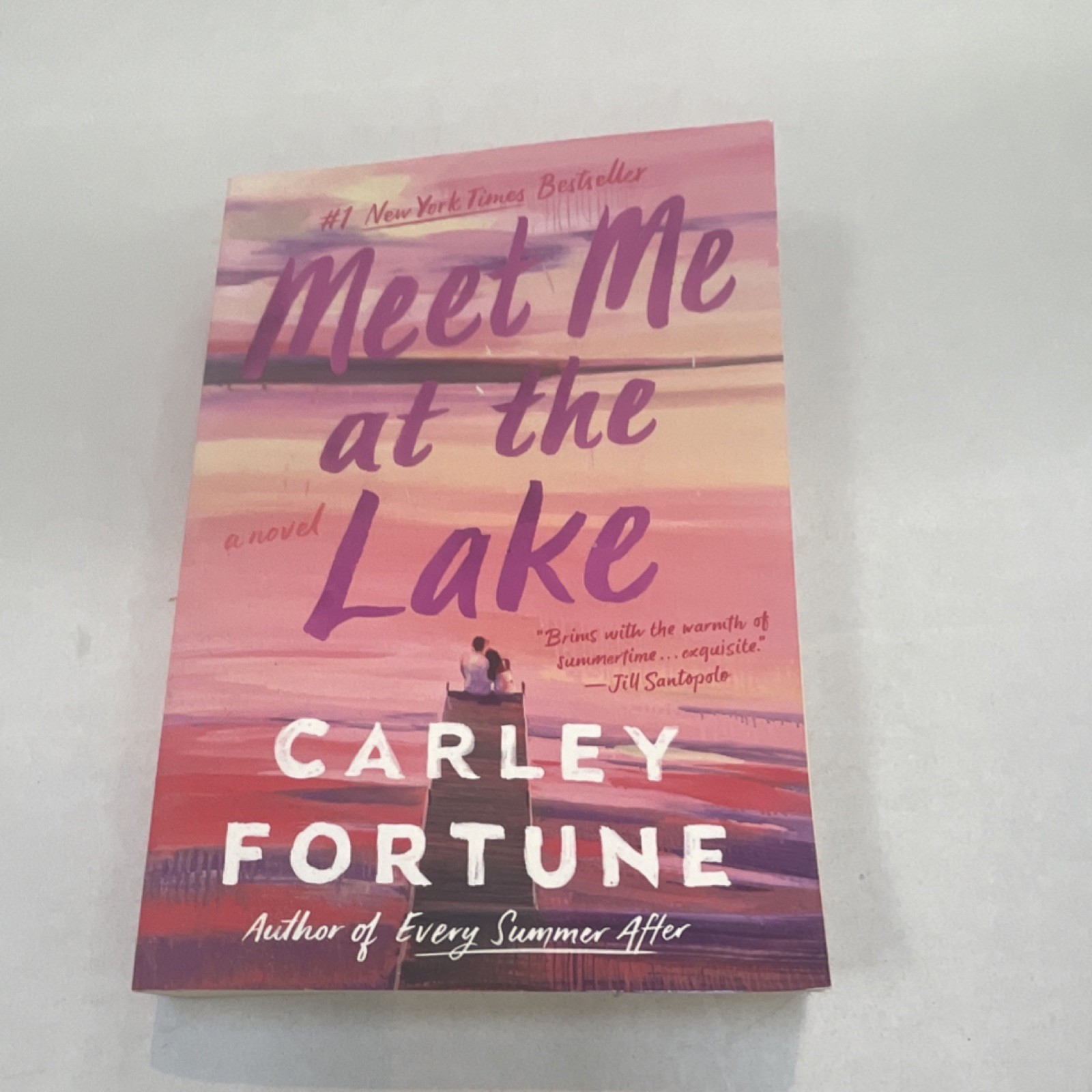 Penguin Meet Me at the Lake by Carley Fortune Paperback Fiction Romance Novel