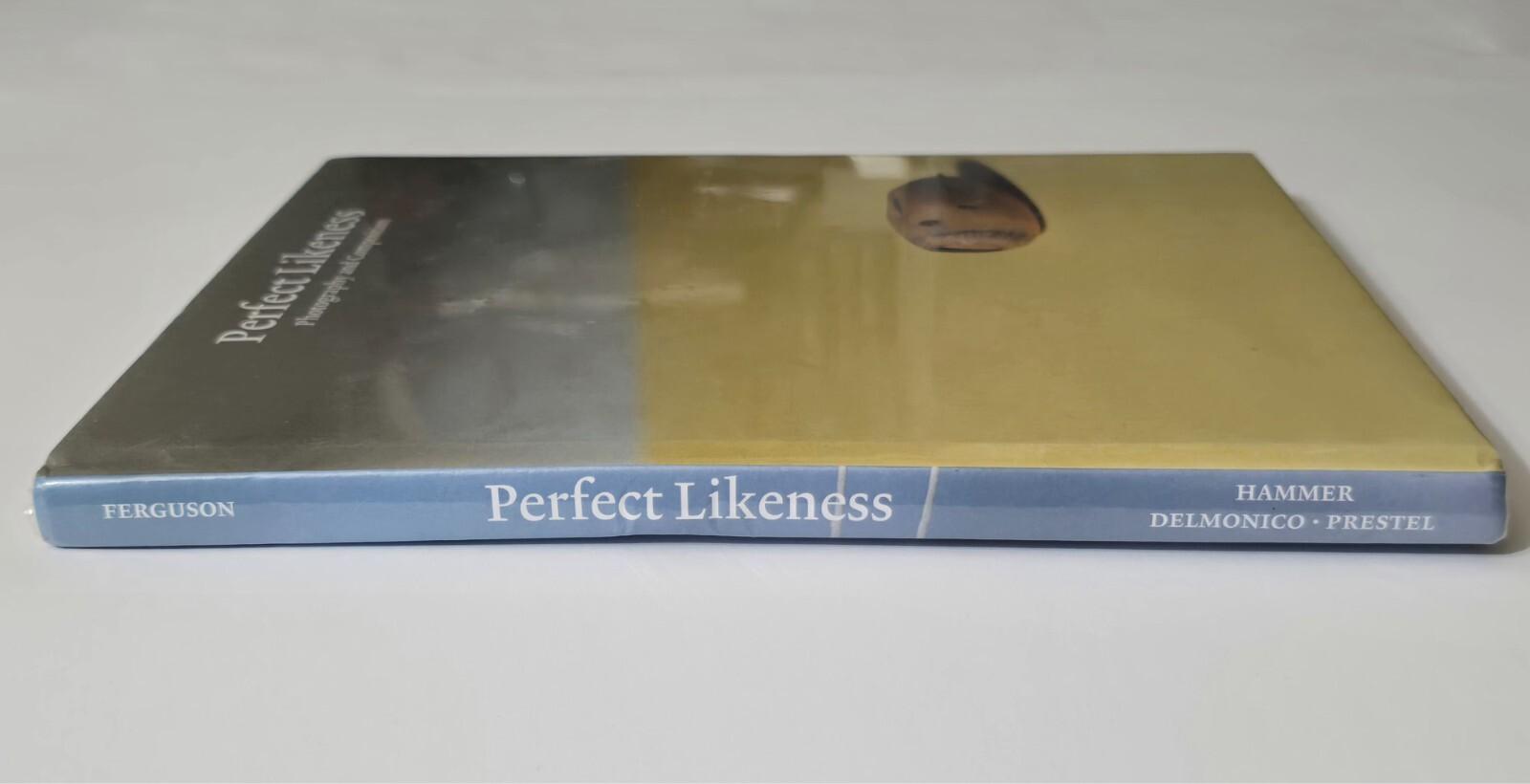 PERFECT LIKENESS SEALED WILLIAM EGGLESTON PHOTOGRAPHY COMPOSITION ART PHOTO BOOK