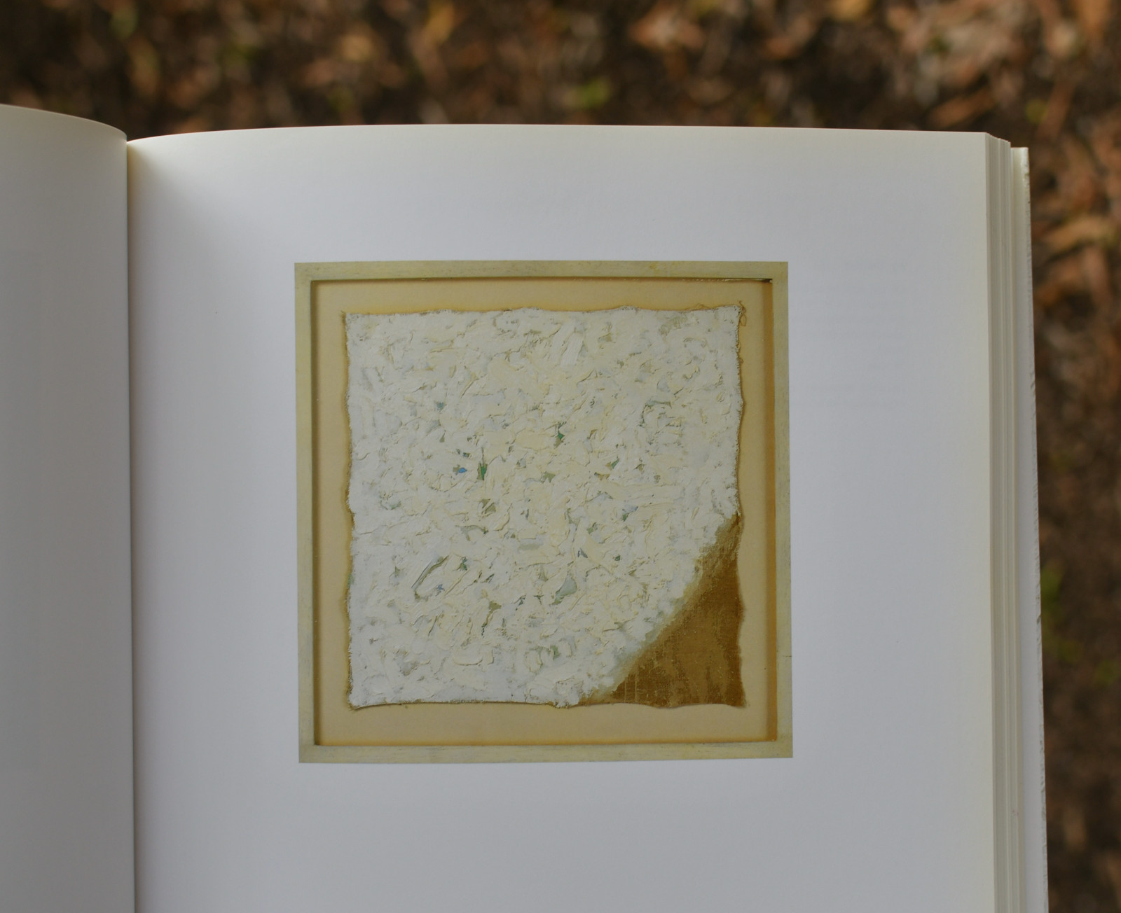 Robert Ryman By Robert Storr Softback: 236 pages   English Tate