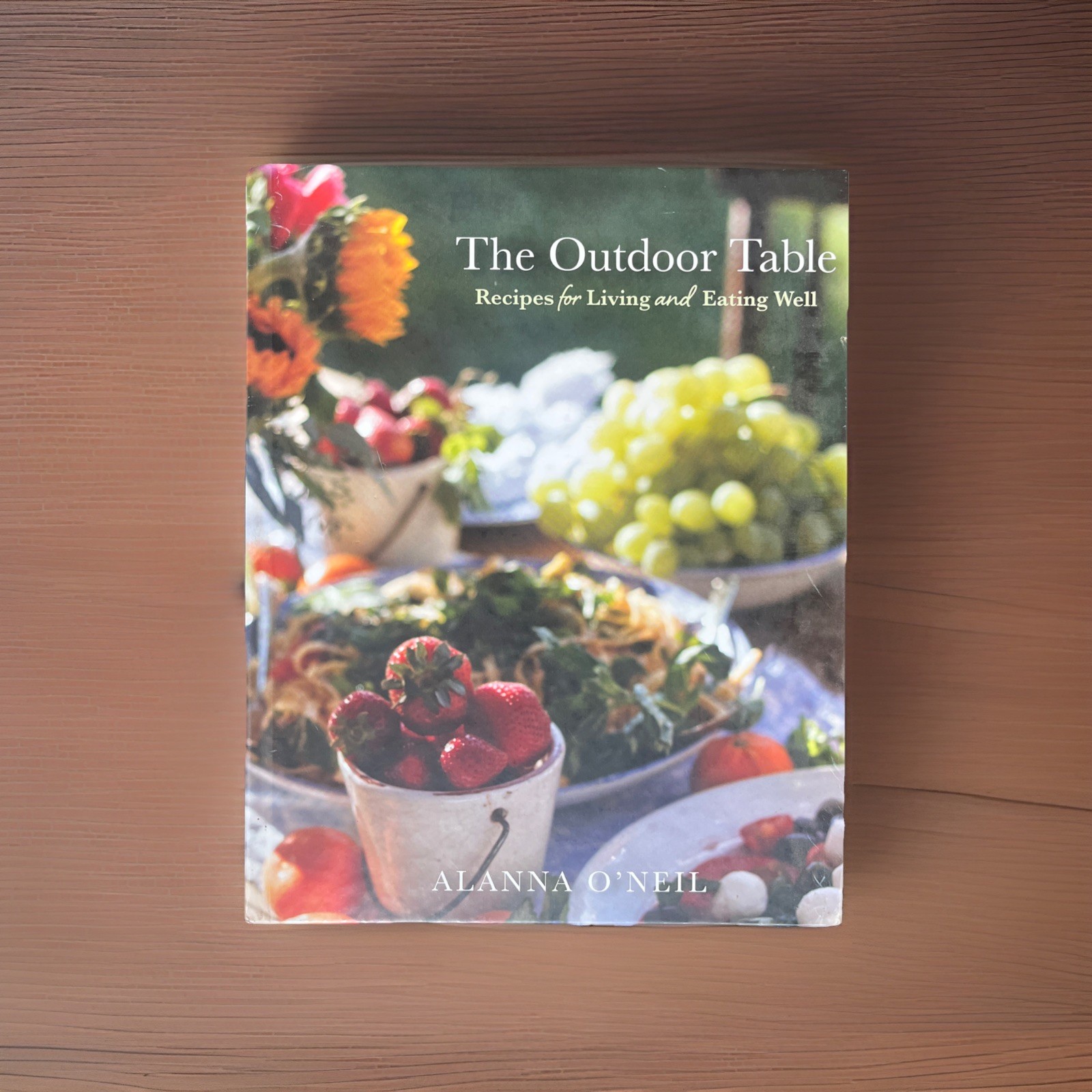 Outdoor Table : Recipes for Living and Eating Well (Party Cooking, Outdoor…