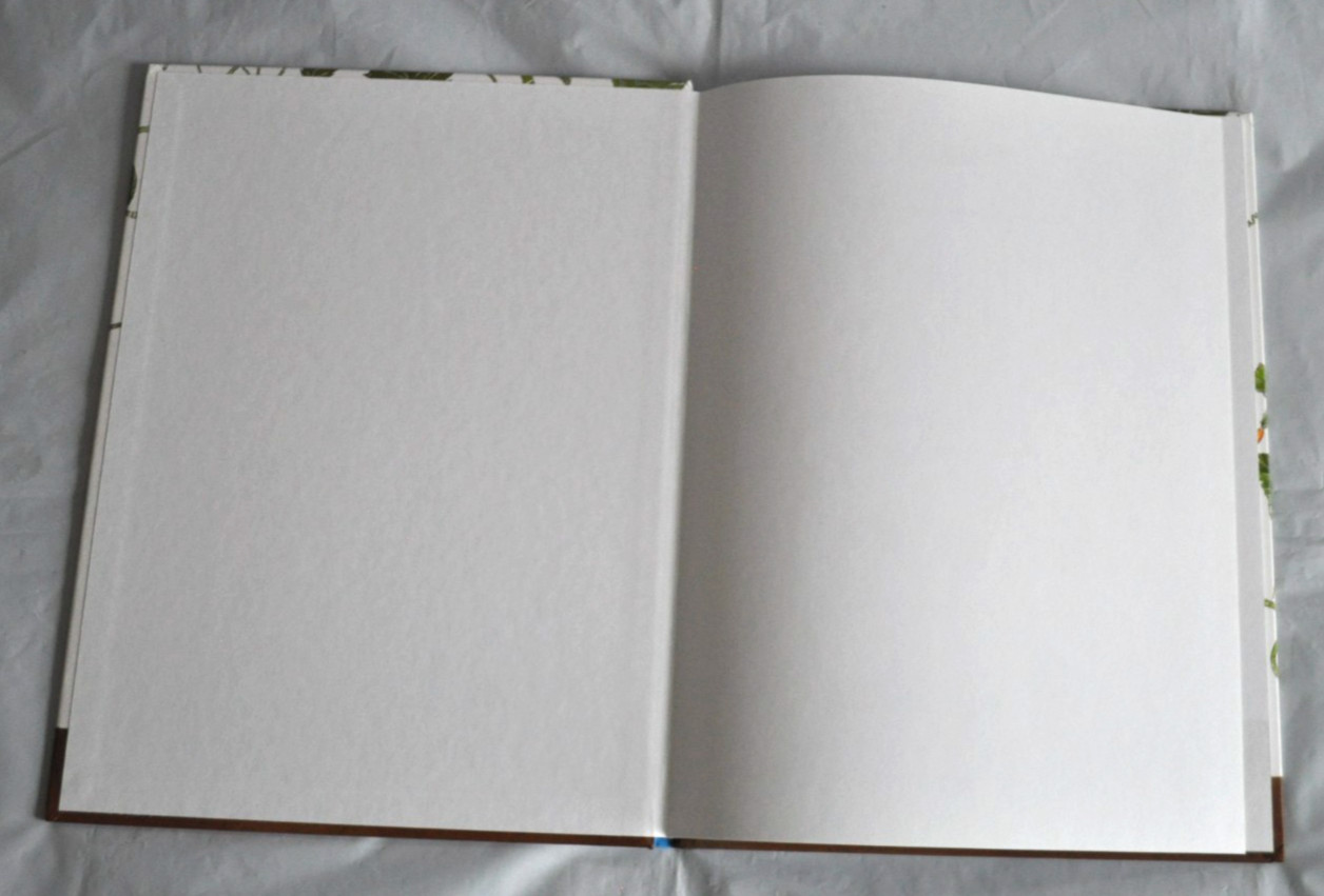 Фиксики рекомендуют: Овощные истории Н. Преображенская Russian Book Hardcover