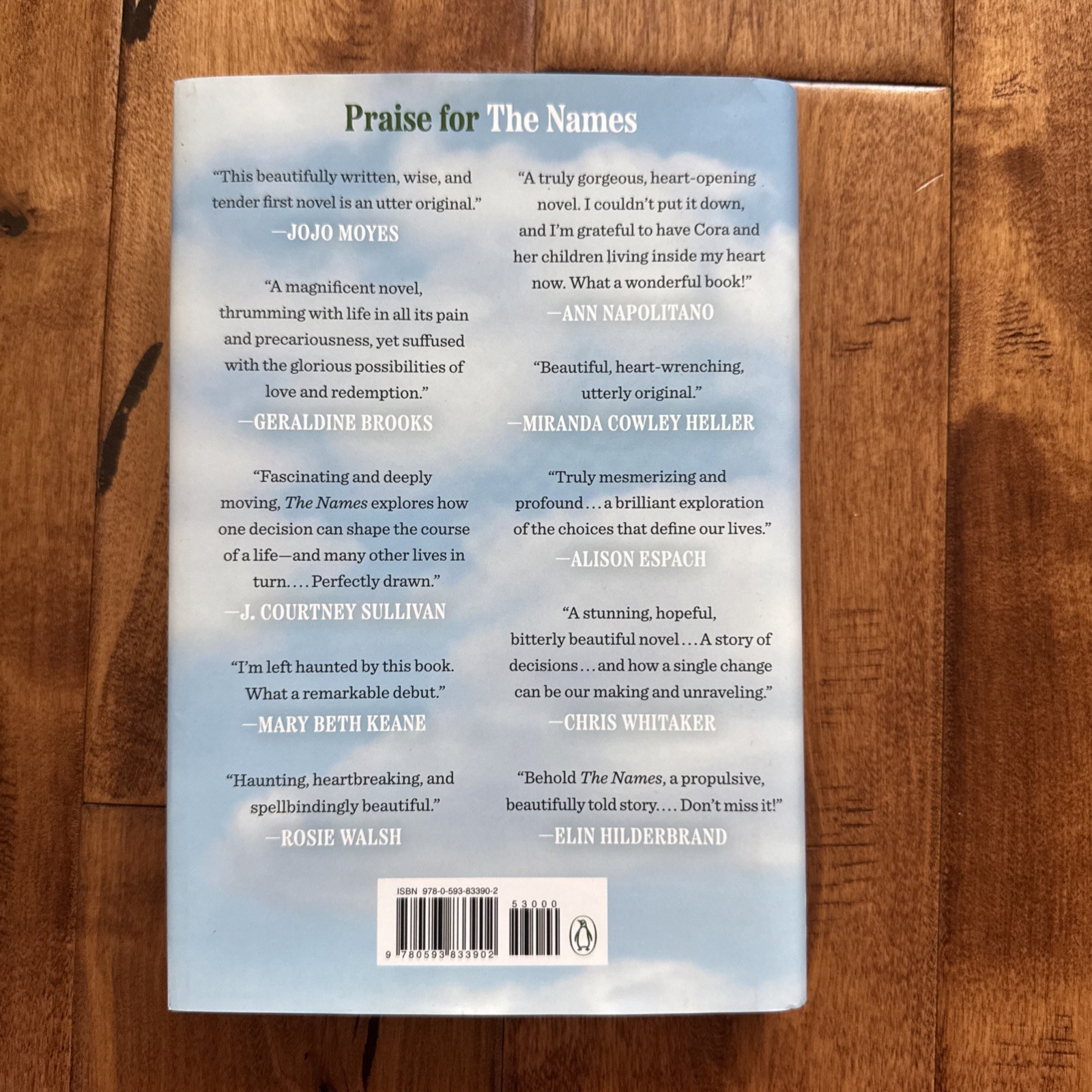 The Names A Novel – VERY GOOD