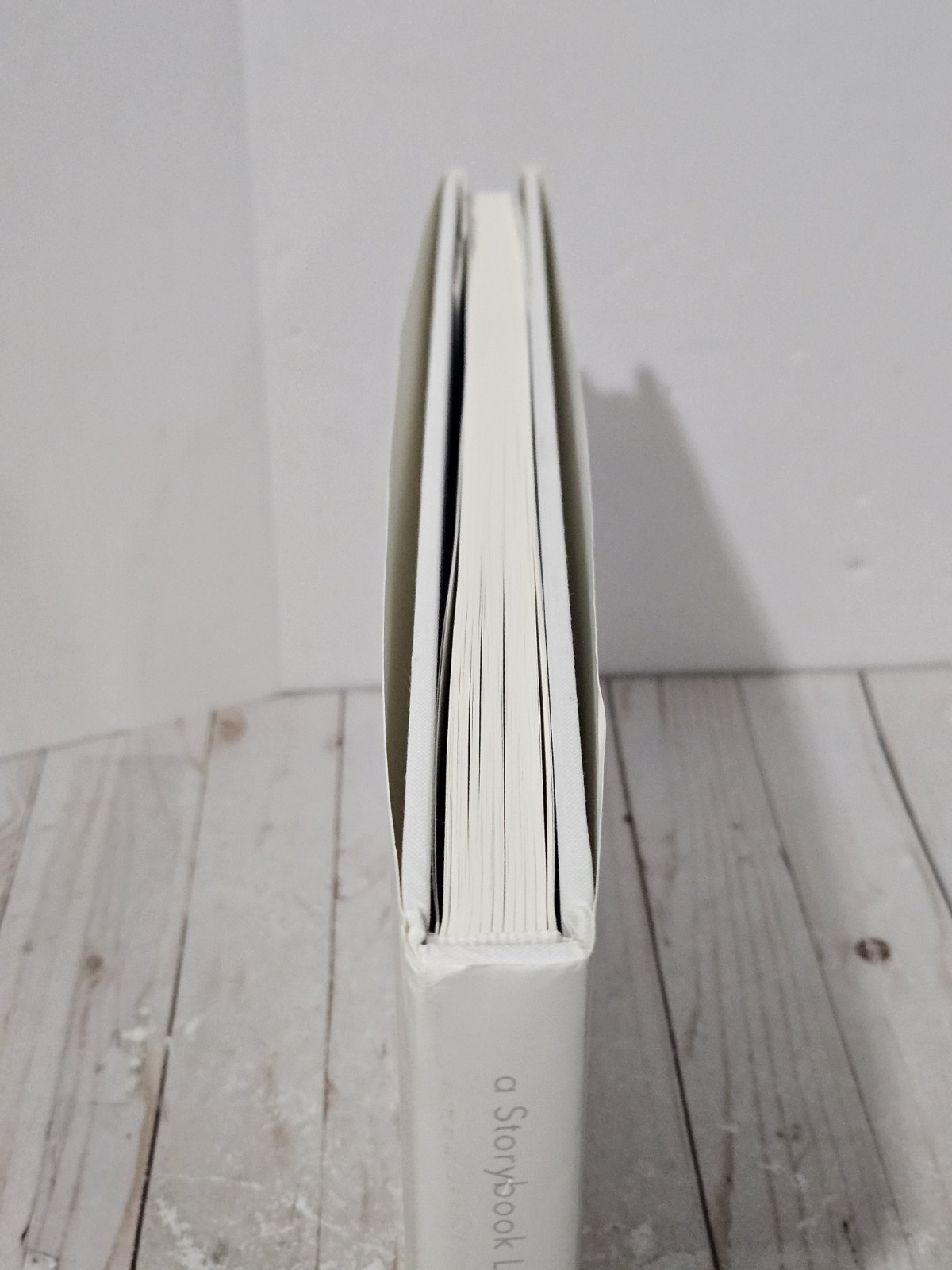 A STORYBOOK LIFE By Philip-lorca Dicorcia Hardcover Limited 3rd Edition Of 2000