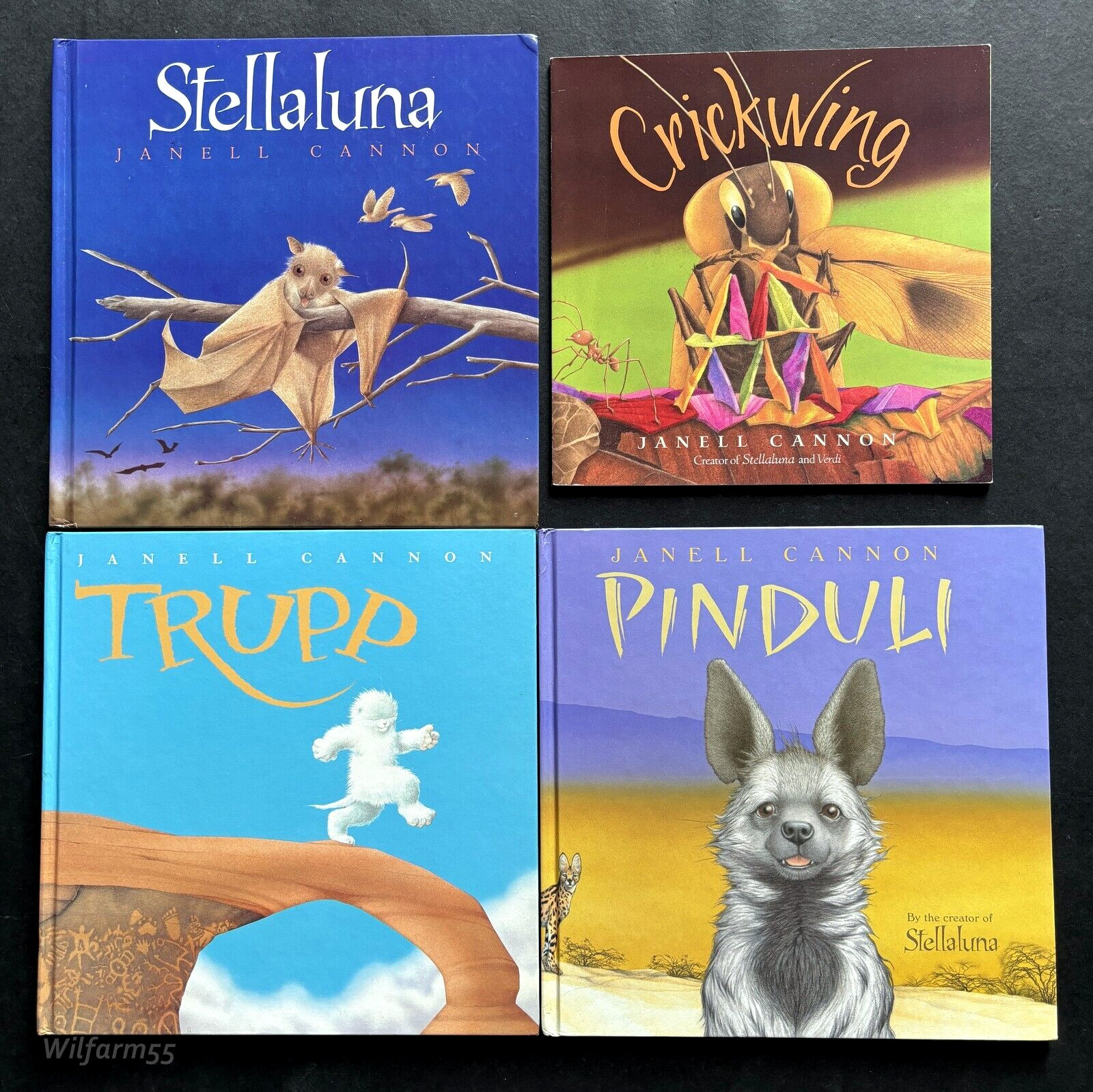 4 Lot JANELL CANNON Picture Books STELLALUNA Crickwing PINDULI Trupp HB/PB