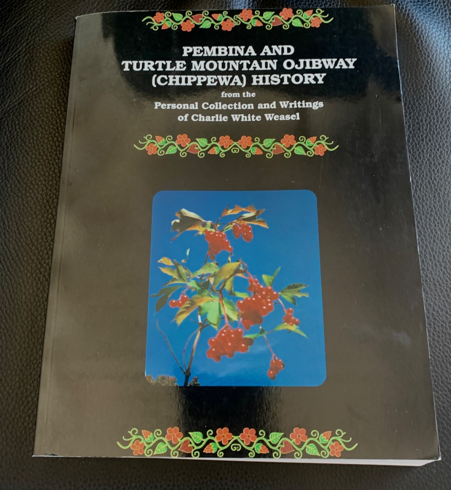 Pembina & Turtle Mountain Ojibway Chippewa History Charlie White Weasel Dakota