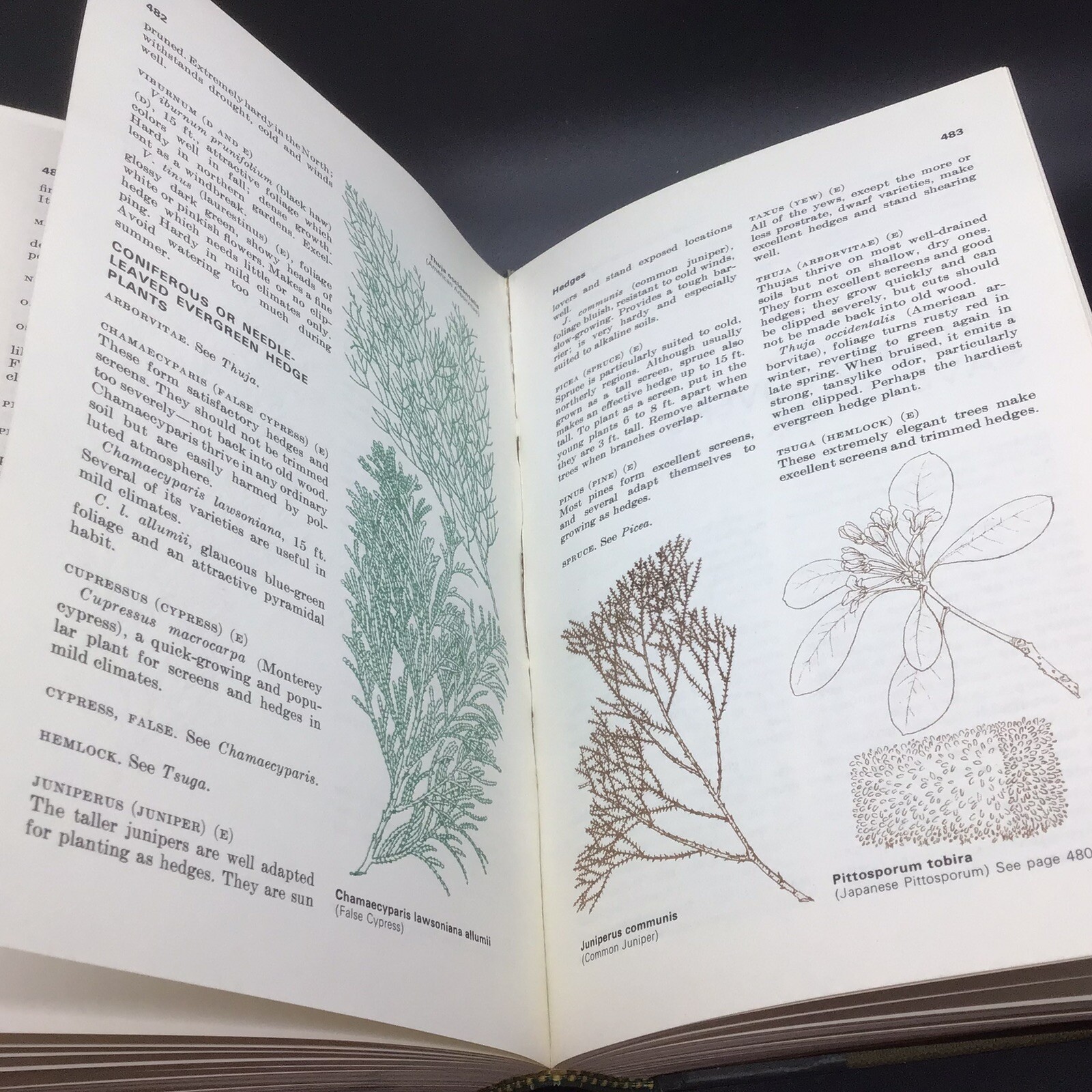 Vintage Reader’s Digest Complete Book Of The Garden 1967 Hardcover 896 Pages