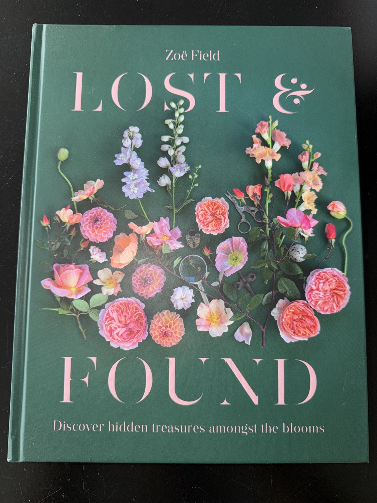 Lost & Found: Discover hidden treasures amongst the blo… by Zoe Field Hardback