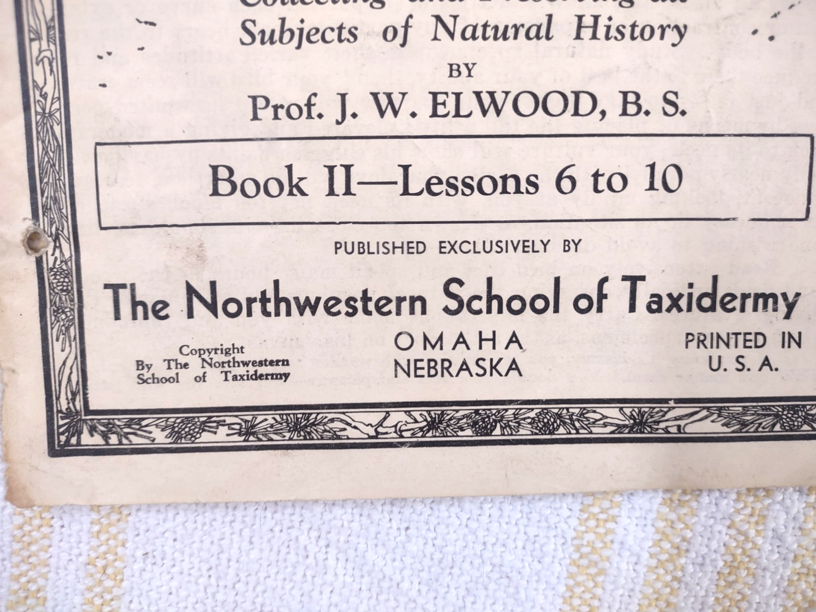 Northwestern School Of Taxidermy Lessons In Taxidermy Books 6, 7, 8, 11 Ephemera